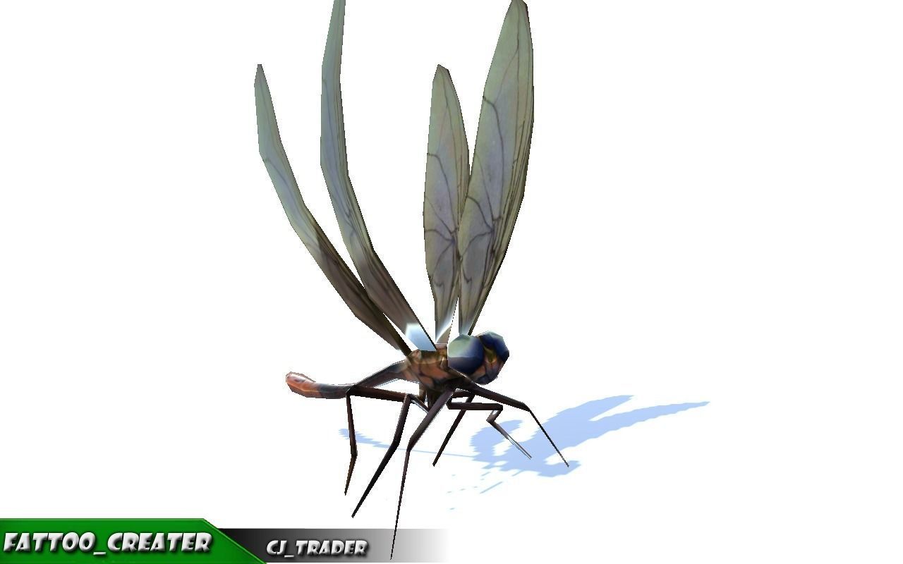 Low-Poly Dragonfly Rigged Animated 3D Model Low-poly 3D model_5