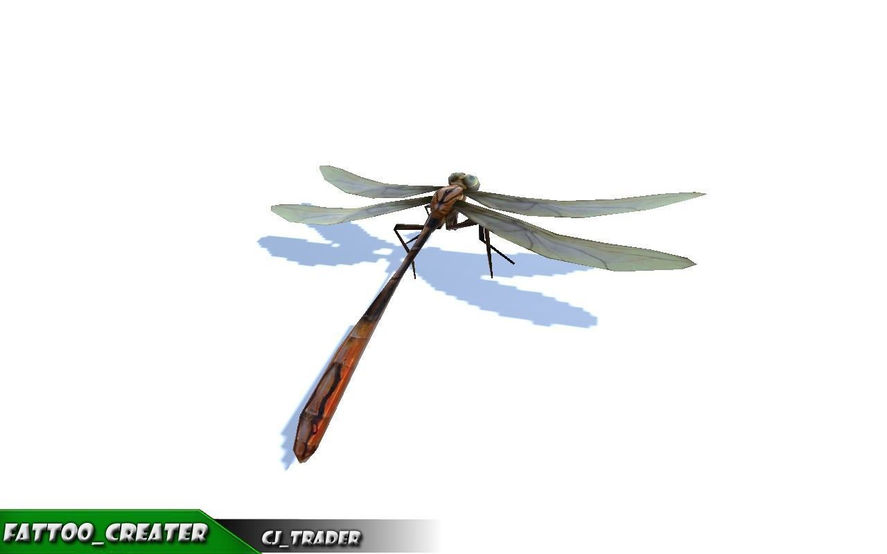 Low-Poly Dragonfly Rigged Animated 3D Model Low-poly 3D model_3