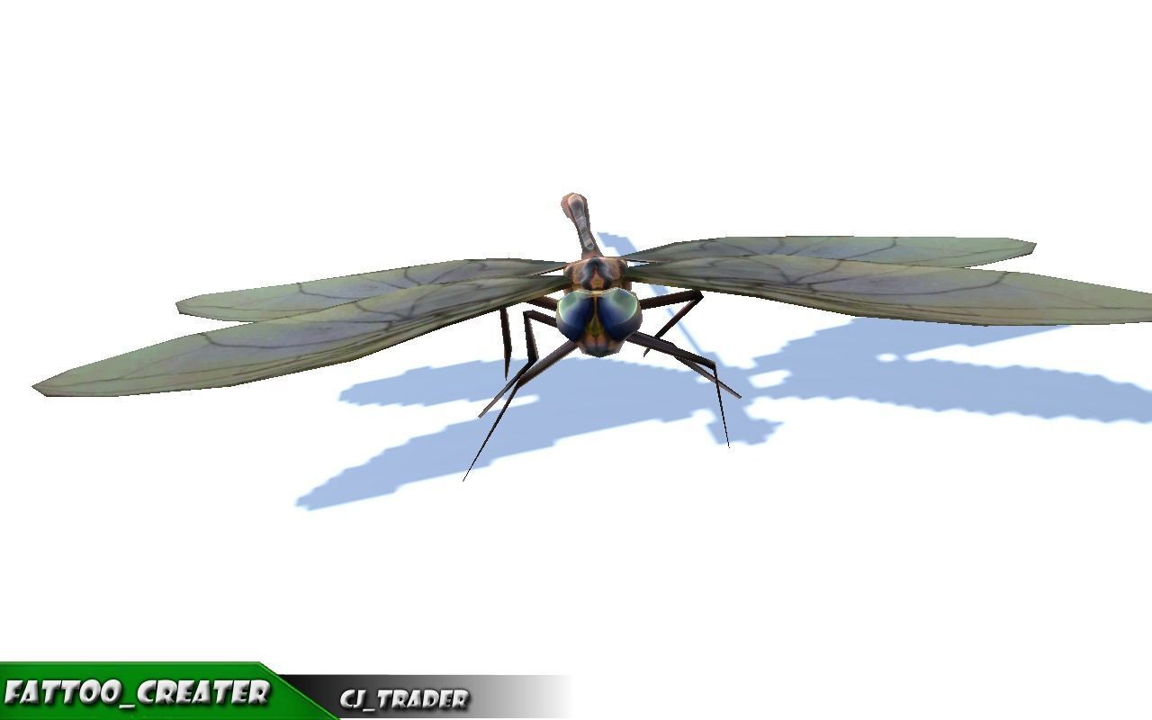 Low-Poly Dragonfly Rigged Animated 3D Model Low-poly 3D model_2