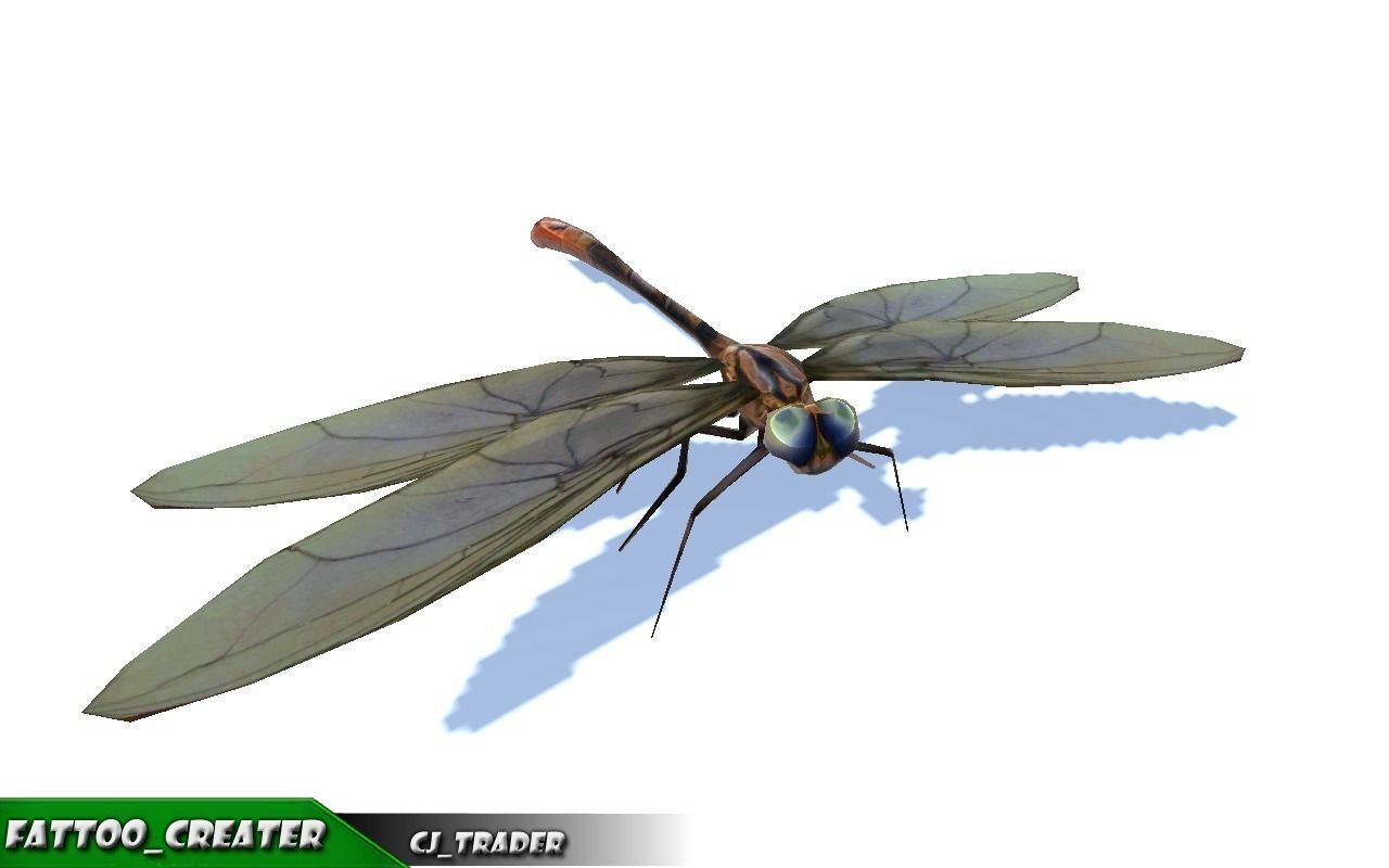 Low-Poly Dragonfly Rigged Animated 3D Model Low-poly 3D model_1