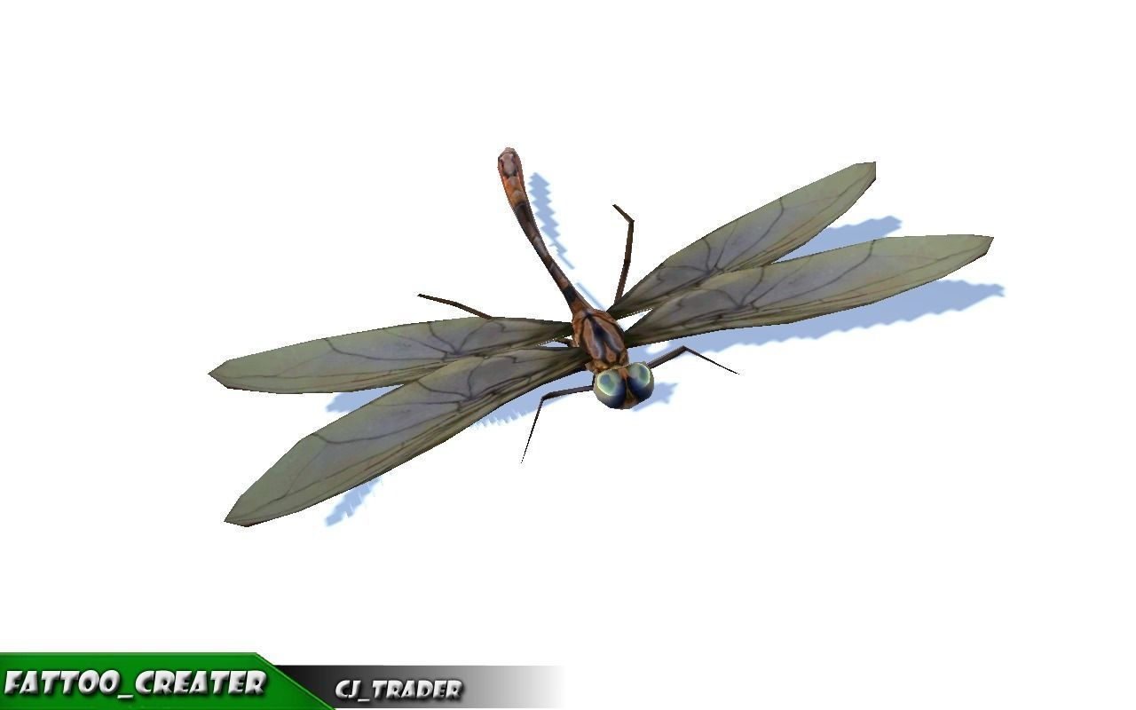 Low-Poly Dragonfly Rigged Animated 3D Model Low-poly 3D model_4