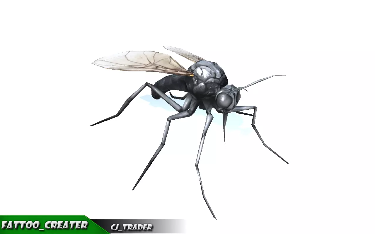 Low-Poly Mosquito Rigged Animated 3d model Low-poly 3D model