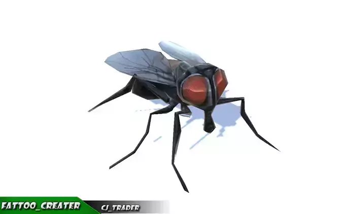 Low-Poly Housefly Insect Rigged Animated 3d model Low-poly 3D model