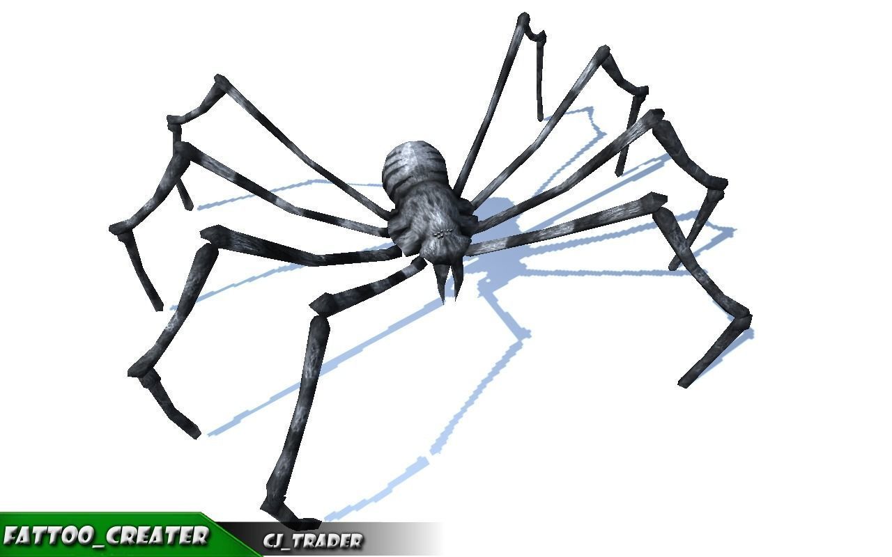 Low-Poly Black Spider Rigged Animated 3d model Low-poly 3D model_1