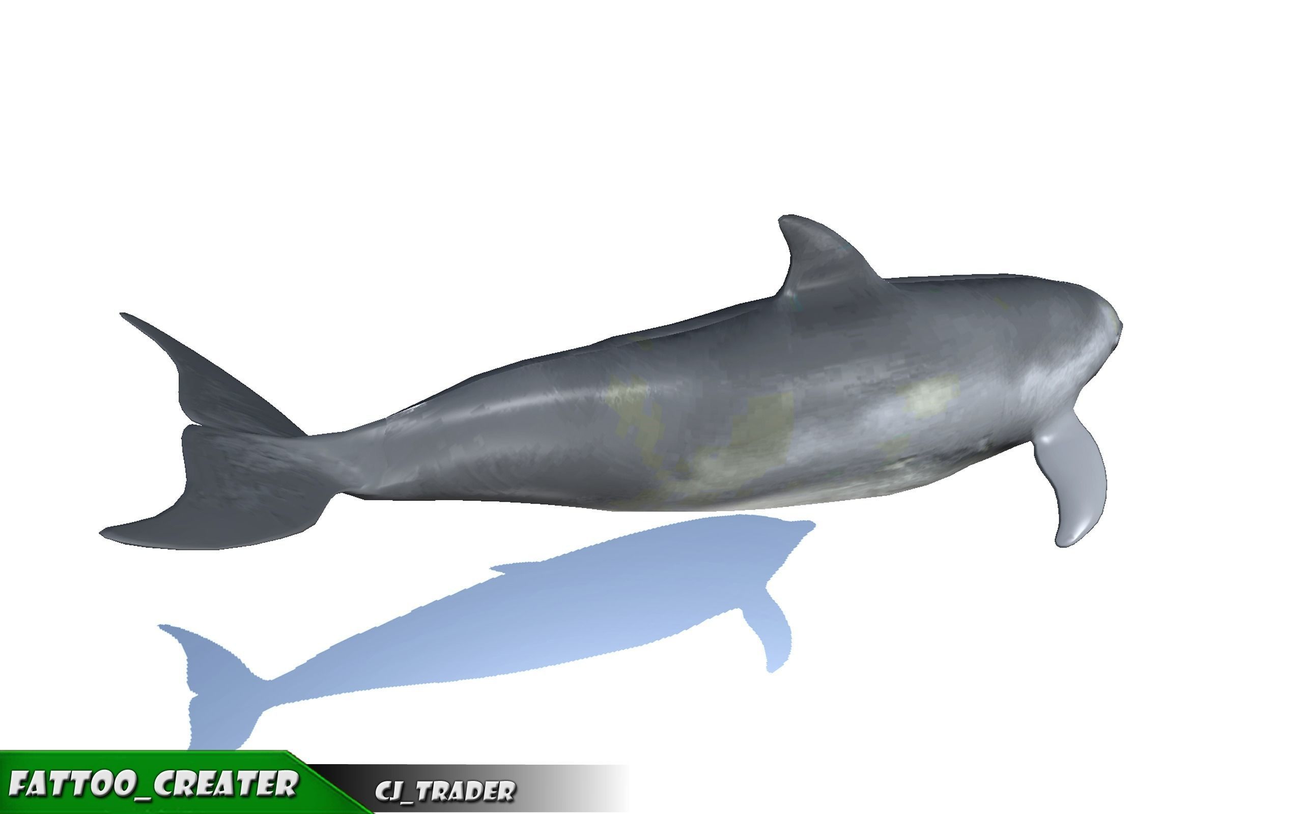 Low-Poly Bottlenose Dolphin Rigged Animated 3D model Low-poly 3D model_4