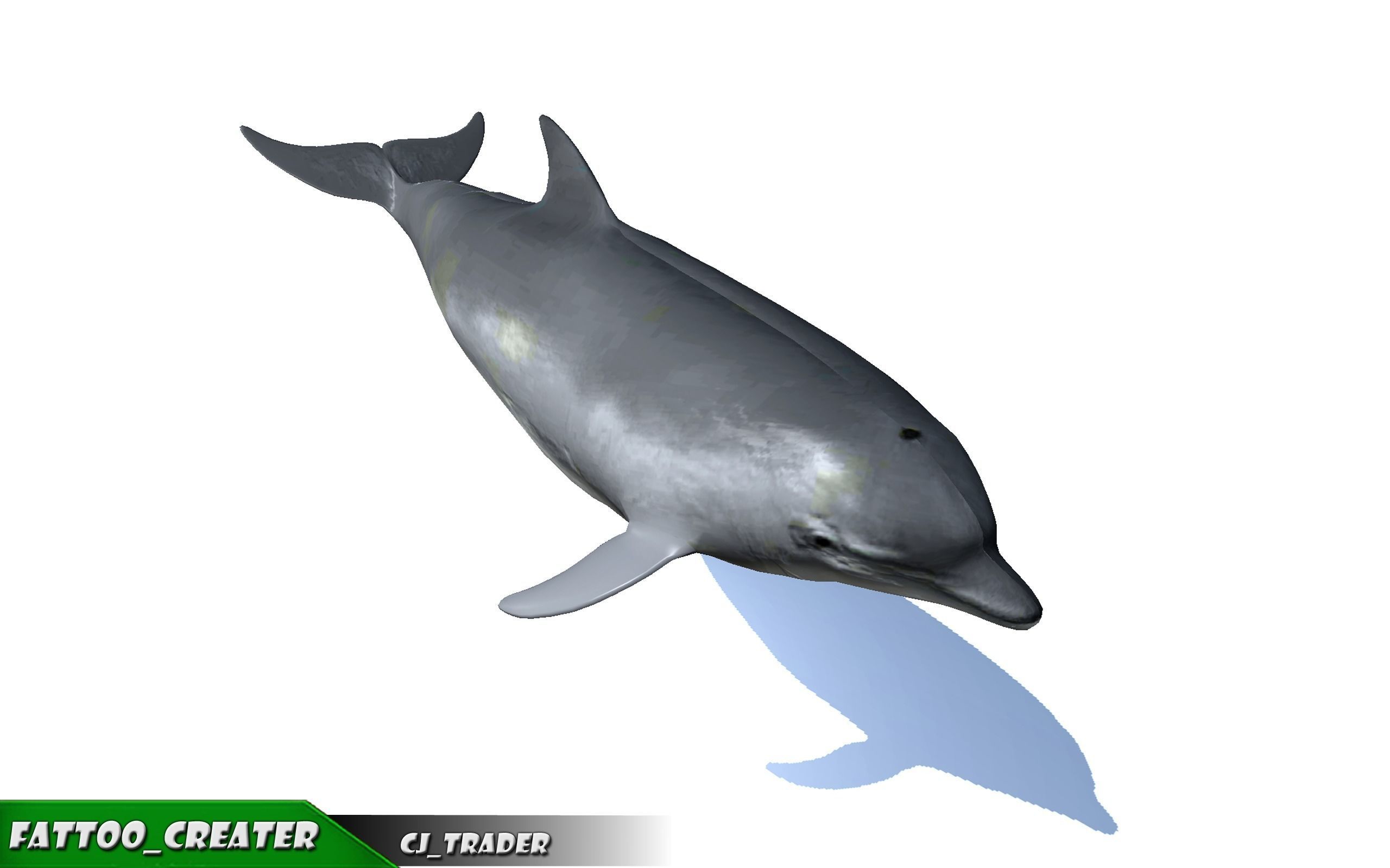 Low-Poly Bottlenose Dolphin Rigged Animated 3D model Low-poly 3D model_3