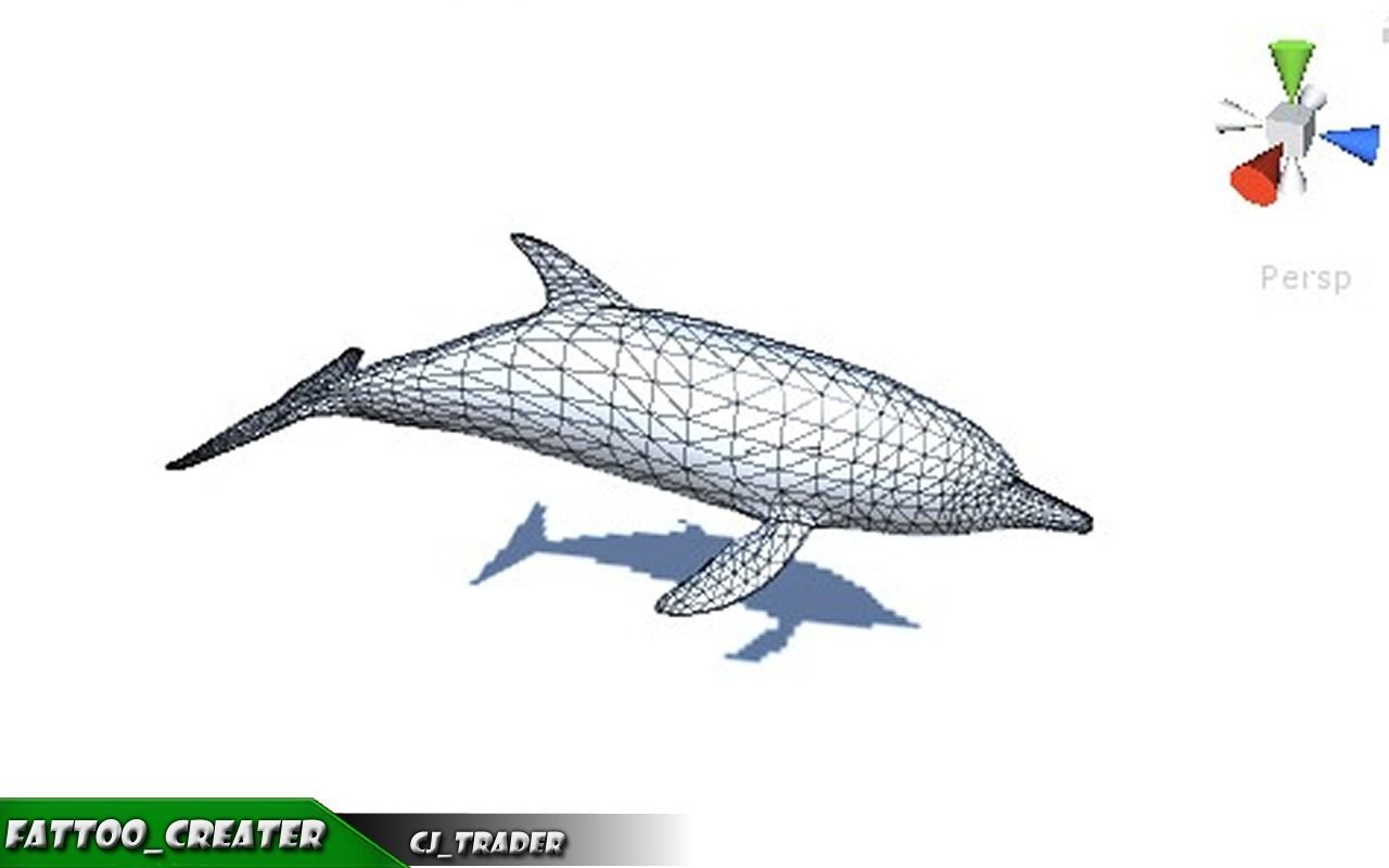 Low-Poly Bottlenose Dolphin Rigged Animated 3D model Low-poly 3D model_5