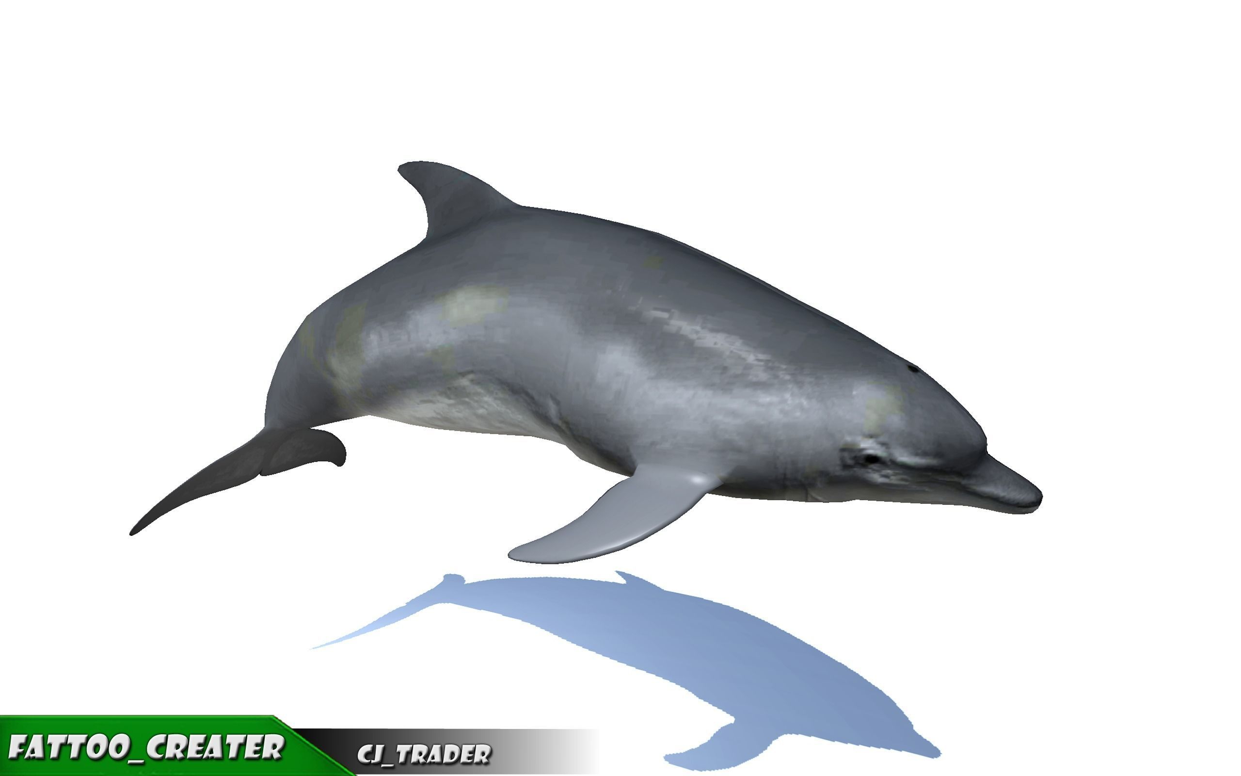 Low-Poly Bottlenose Dolphin Rigged Animated 3D model Low-poly 3D model_2
