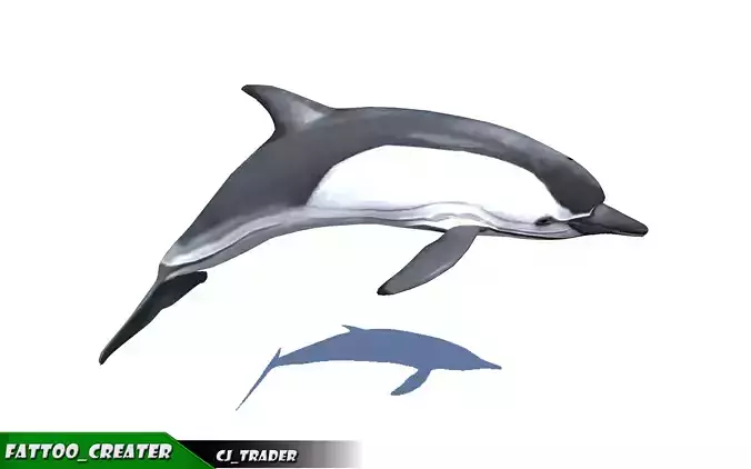 Low-Poly Dolphin Rigged Animated 3D model Low-poly 3D model