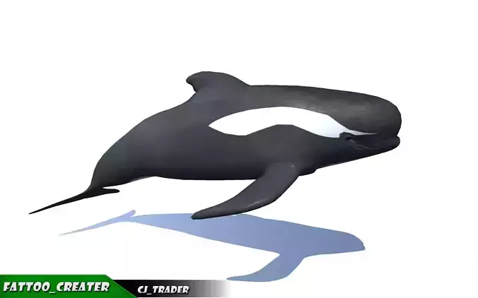 Low-Poly Long finned Whale Rigged Animated 3D model Low-poly 3D model