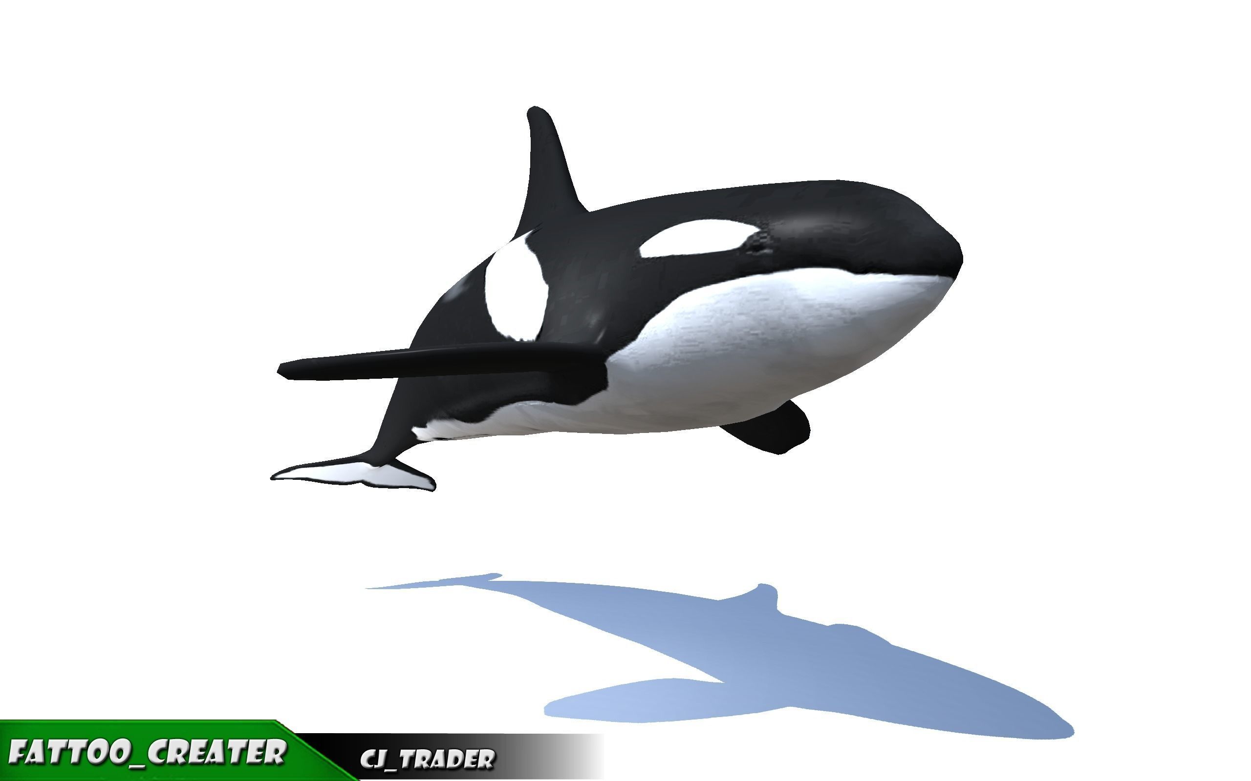 Low-Poly Killer Whale Rigged Animated 3D model Low-poly 3D model_1