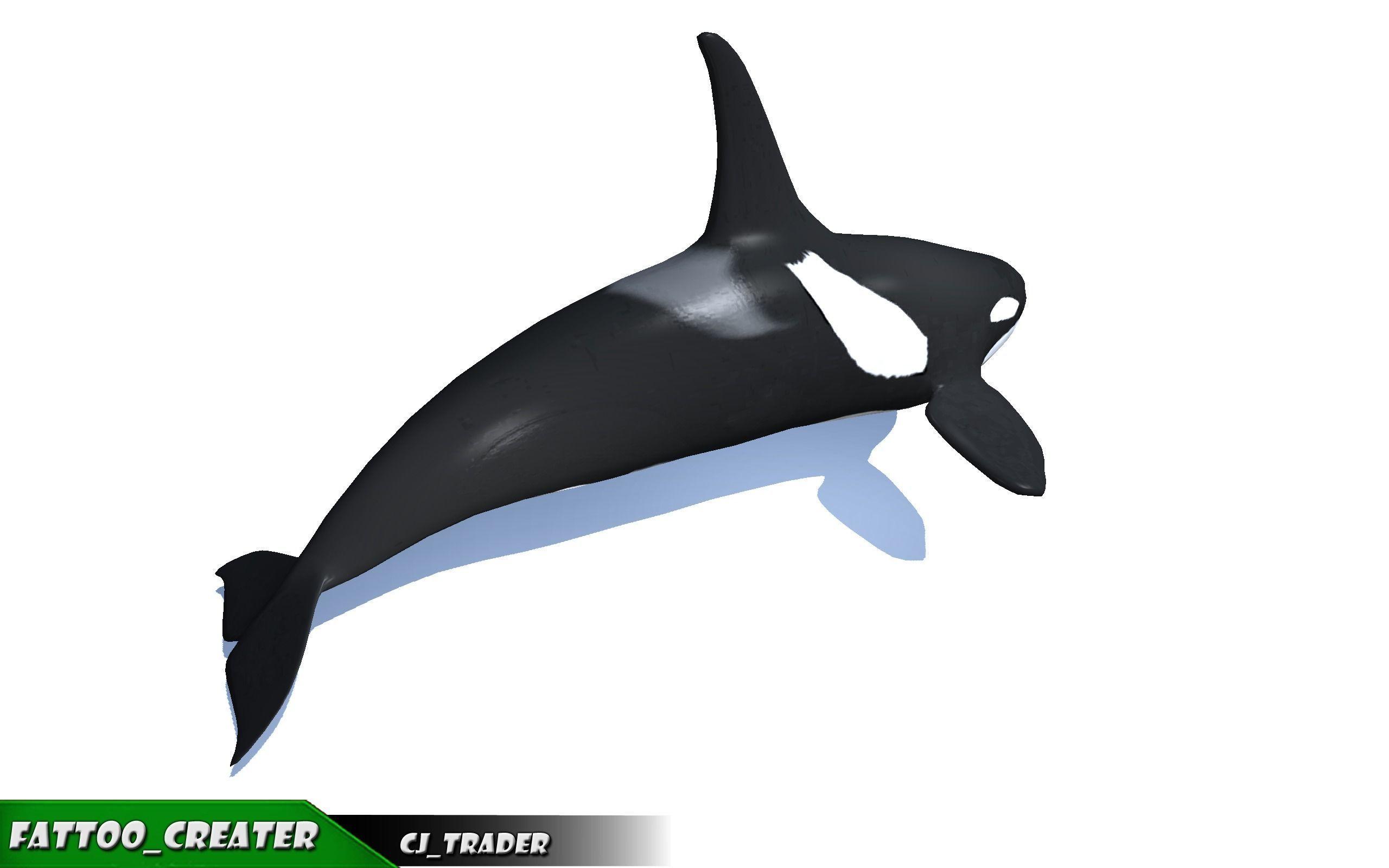 Low-Poly Killer Whale Rigged Animated 3D model Low-poly 3D model_5