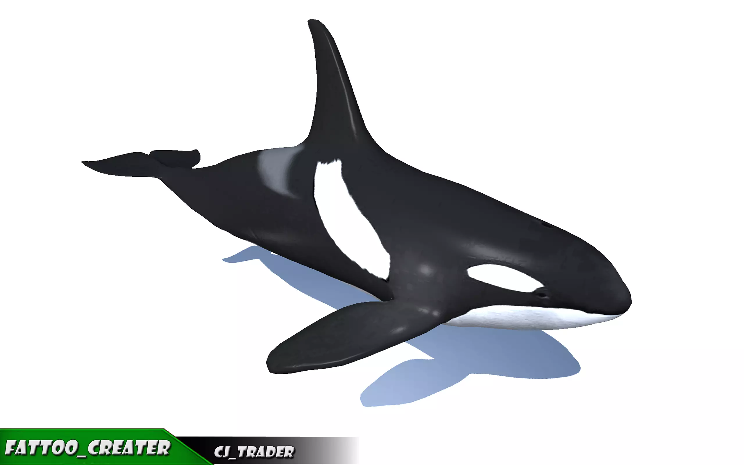 Low-Poly Killer Whale Rigged Animated 3D model Low-poly 3D model_0