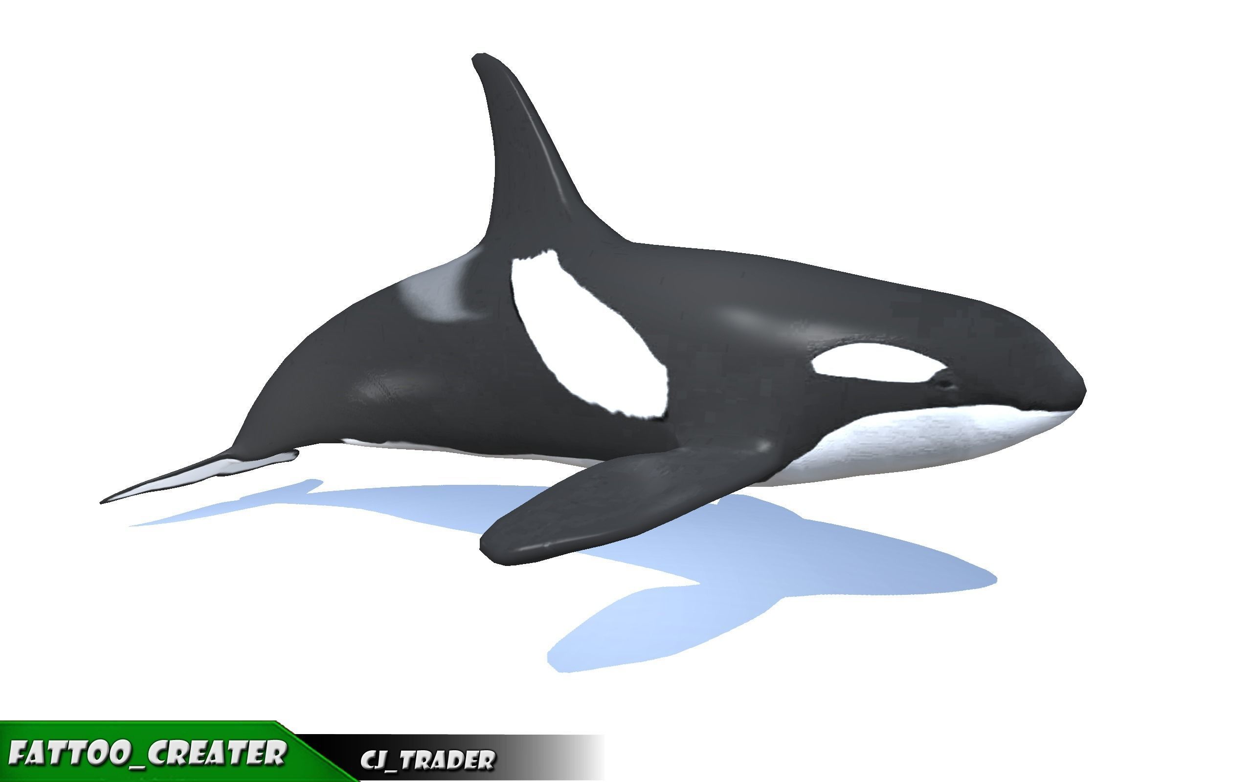 Low-Poly Killer Whale Rigged Animated 3D model Low-poly 3D model_3