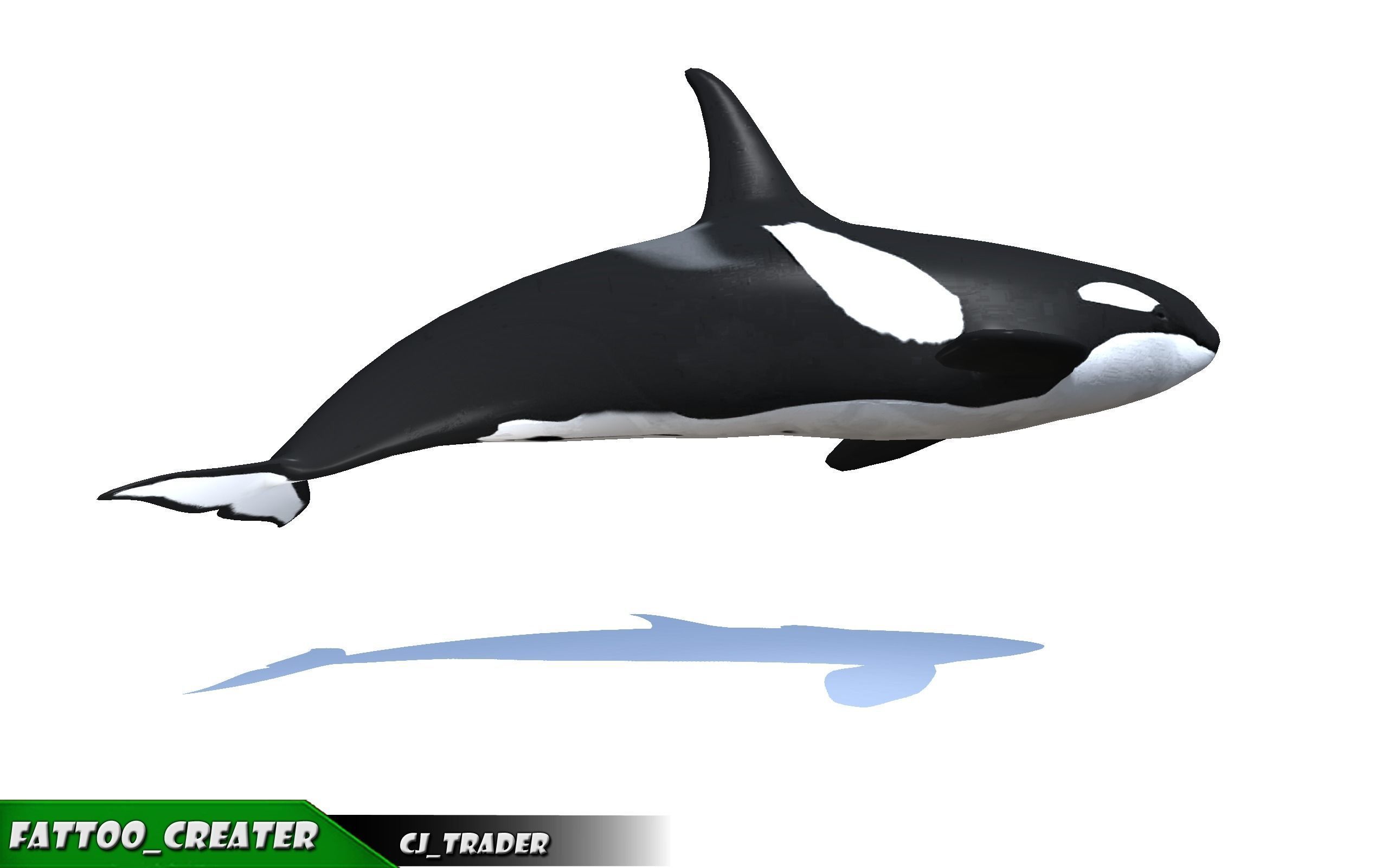 Low-Poly Killer Whale Rigged Animated 3D model Low-poly 3D model_4