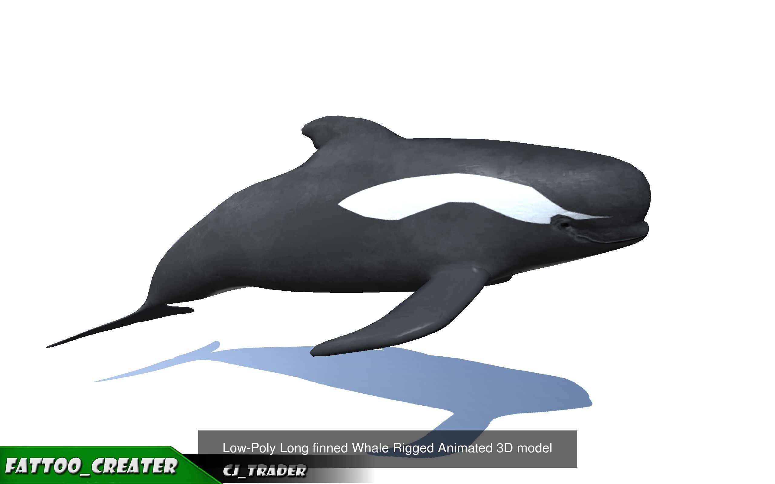 Underwater Fish Rigged-Animated Lowpoly collection 3D model _5