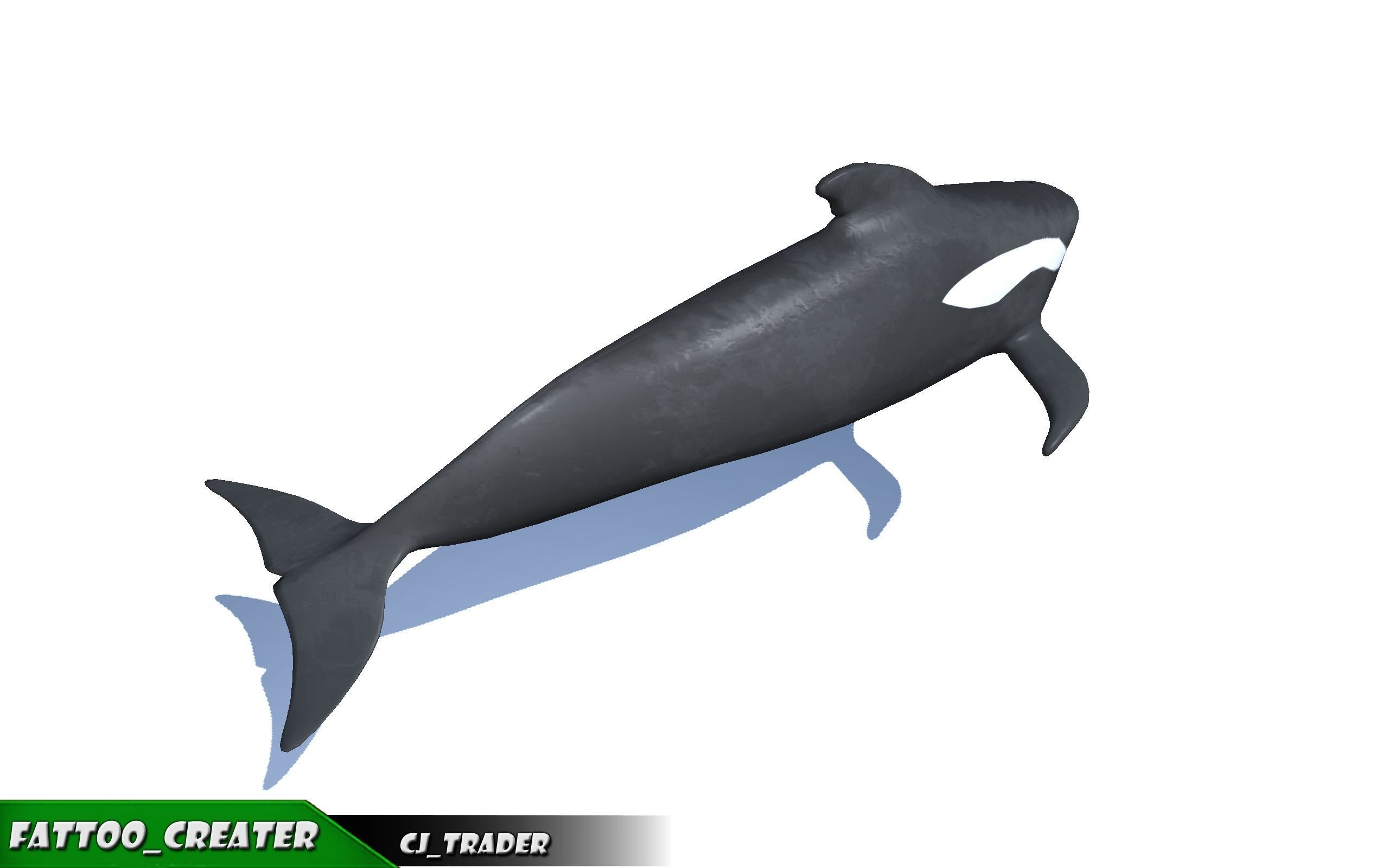 Underwater Fish Rigged-Animated Lowpoly collection 3D model _11