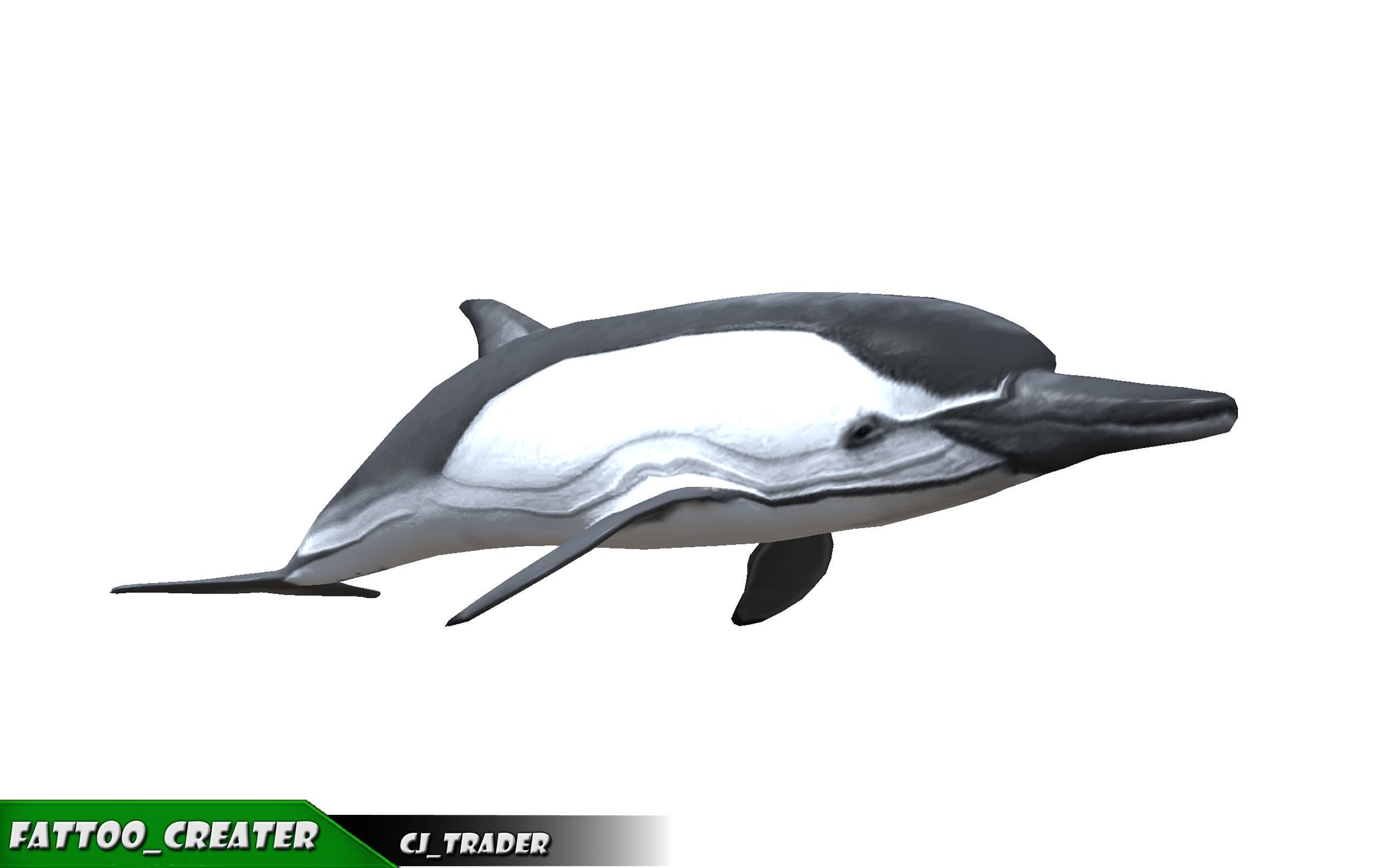 Underwater Fish Rigged-Animated Lowpoly collection 3D model _14