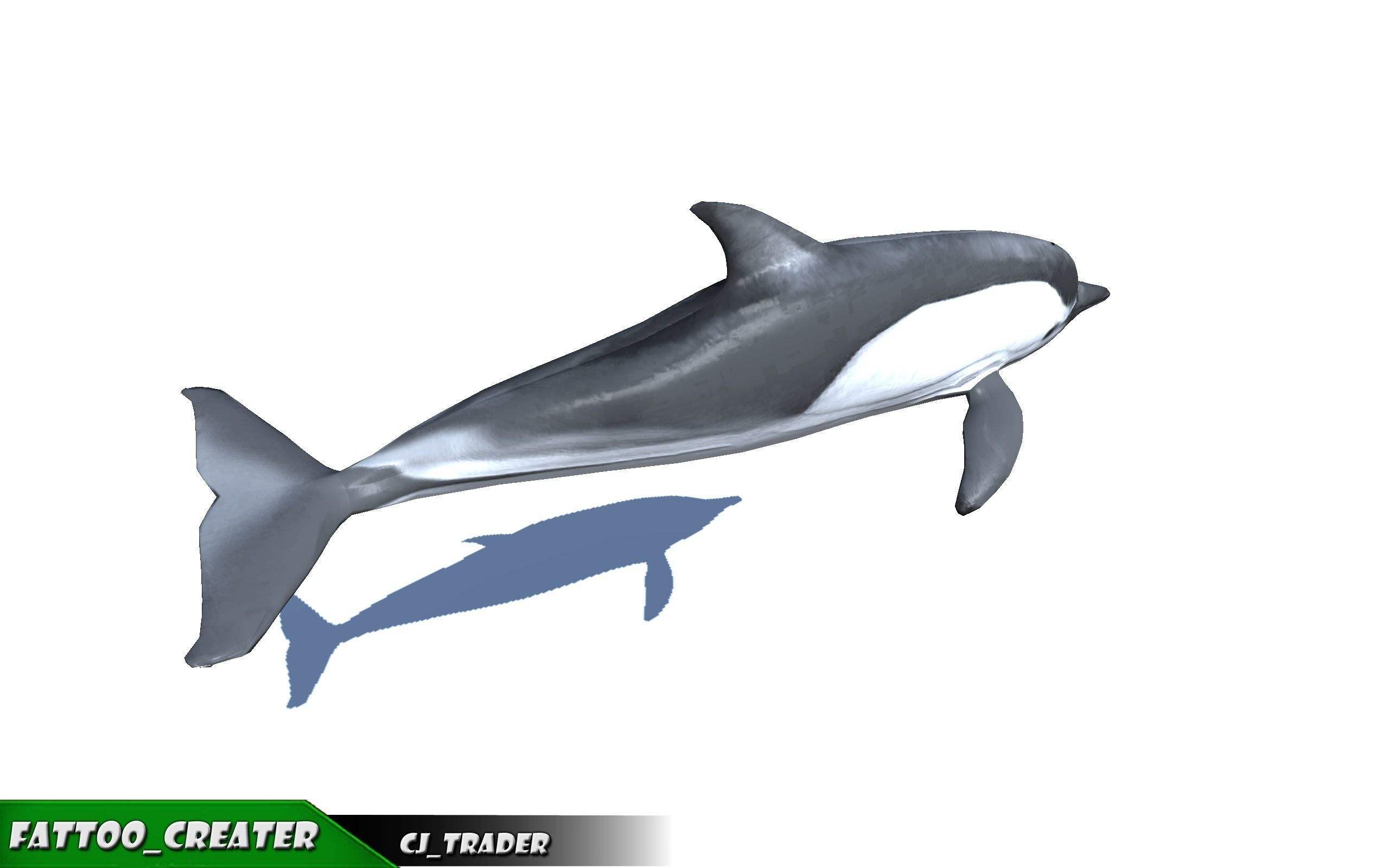 Underwater Fish Rigged-Animated Lowpoly collection 3D model _10