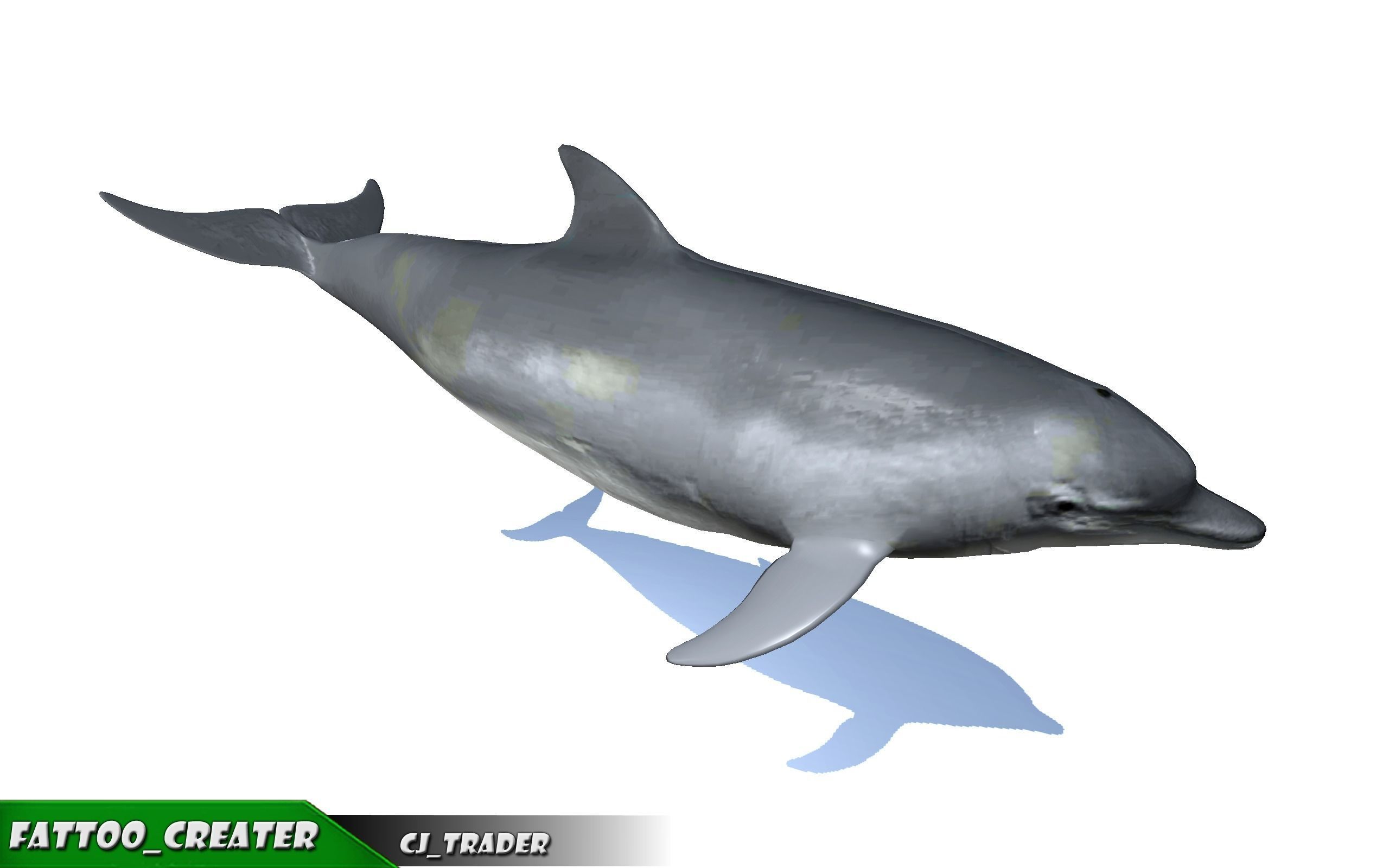 Underwater Fish Rigged-Animated Lowpoly collection 3D model _12