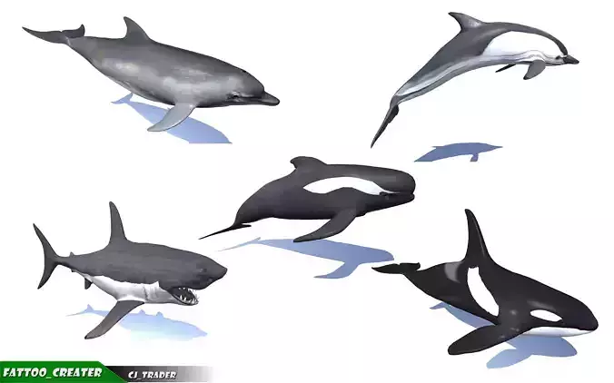 Underwater Fish Rigged-Animated Lowpoly collection 3D model 