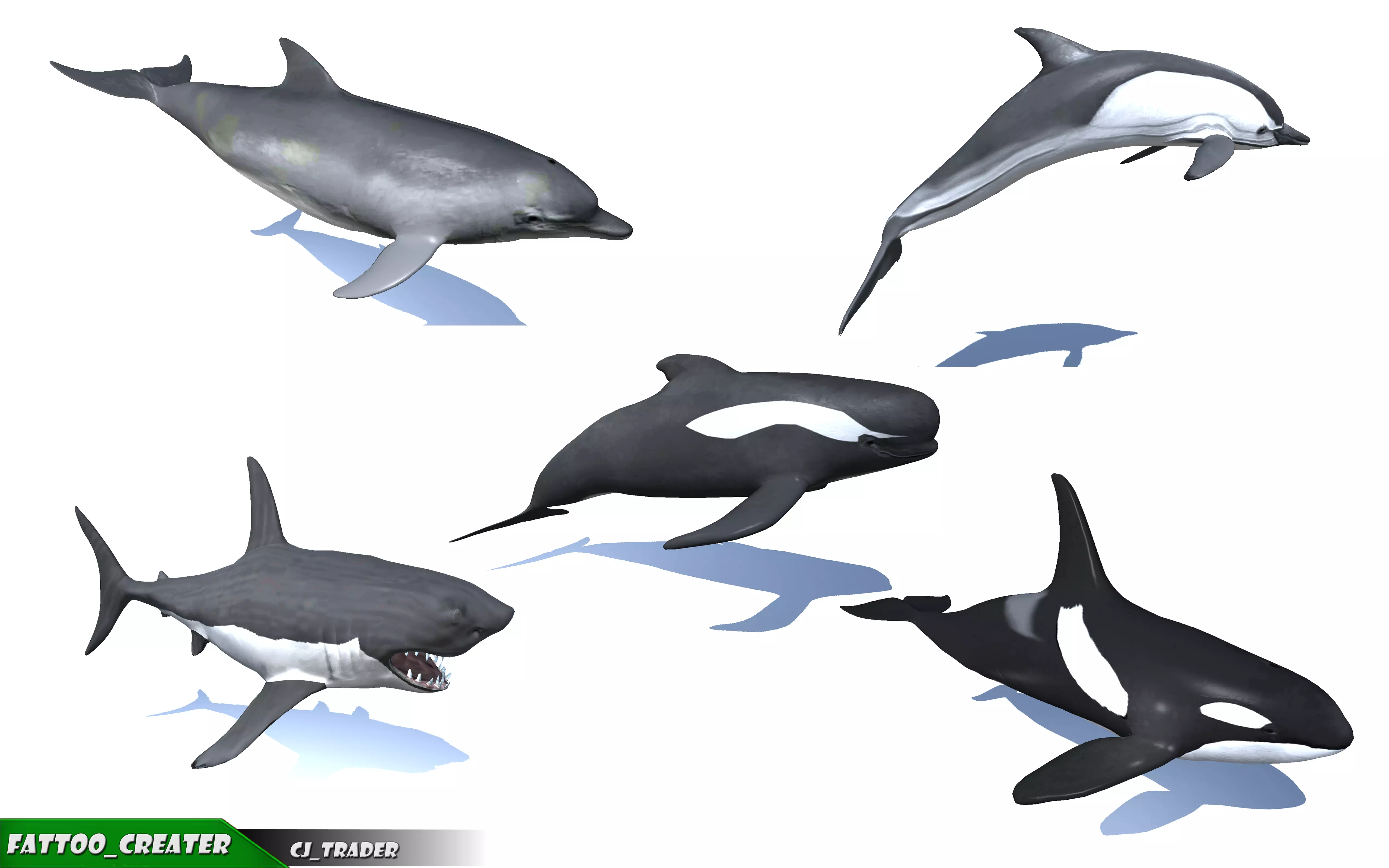 Underwater Fish Rigged-Animated Lowpoly collection 3D model _0