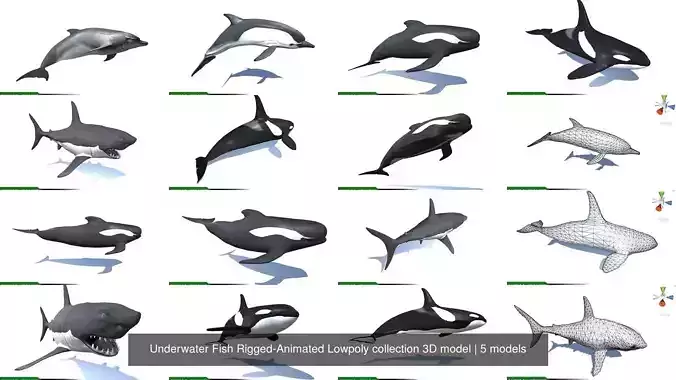 Underwater Fish Rigged-Animated Lowpoly collection 3D model