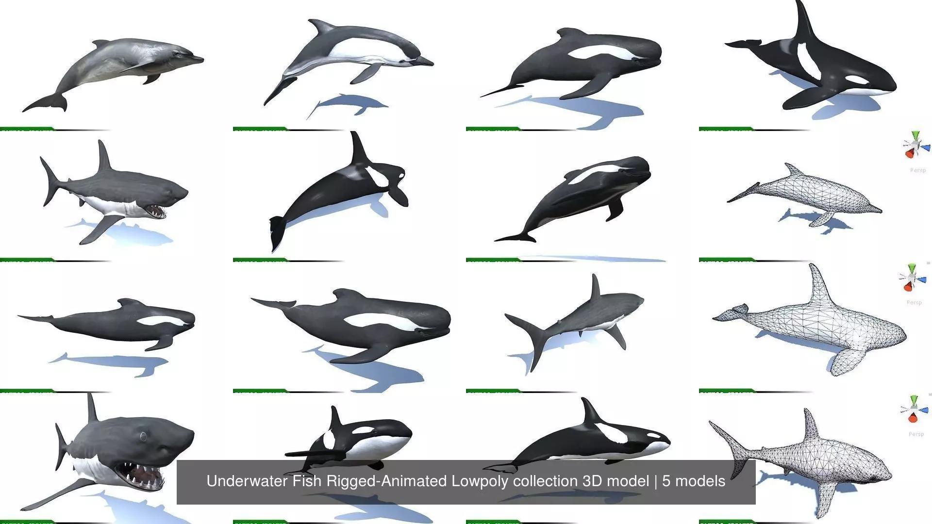 Underwater Fish Rigged-Animated Lowpoly collection 3D model _1