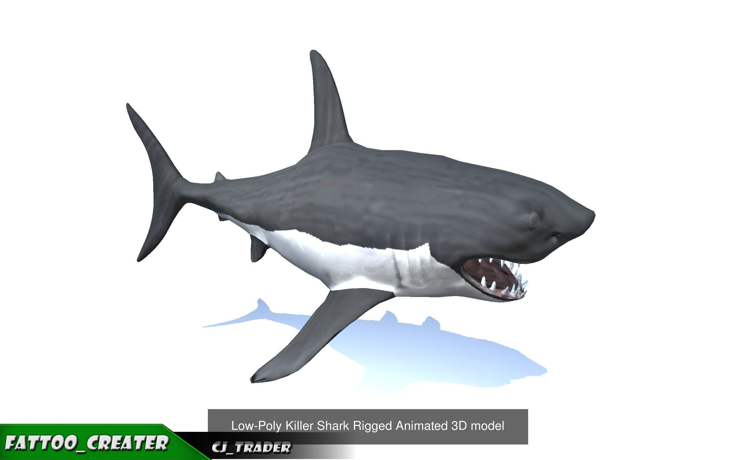 Underwater Fish Rigged-Animated Lowpoly collection 3D model _7