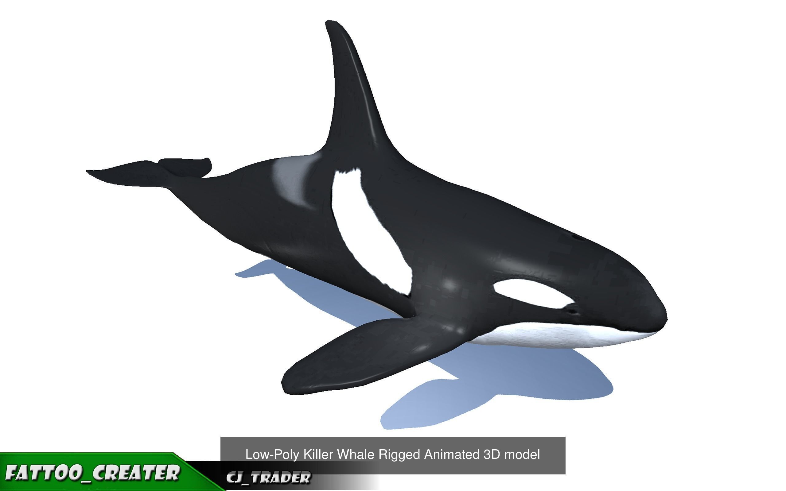 Underwater Fish Rigged-Animated Lowpoly collection 3D model _6