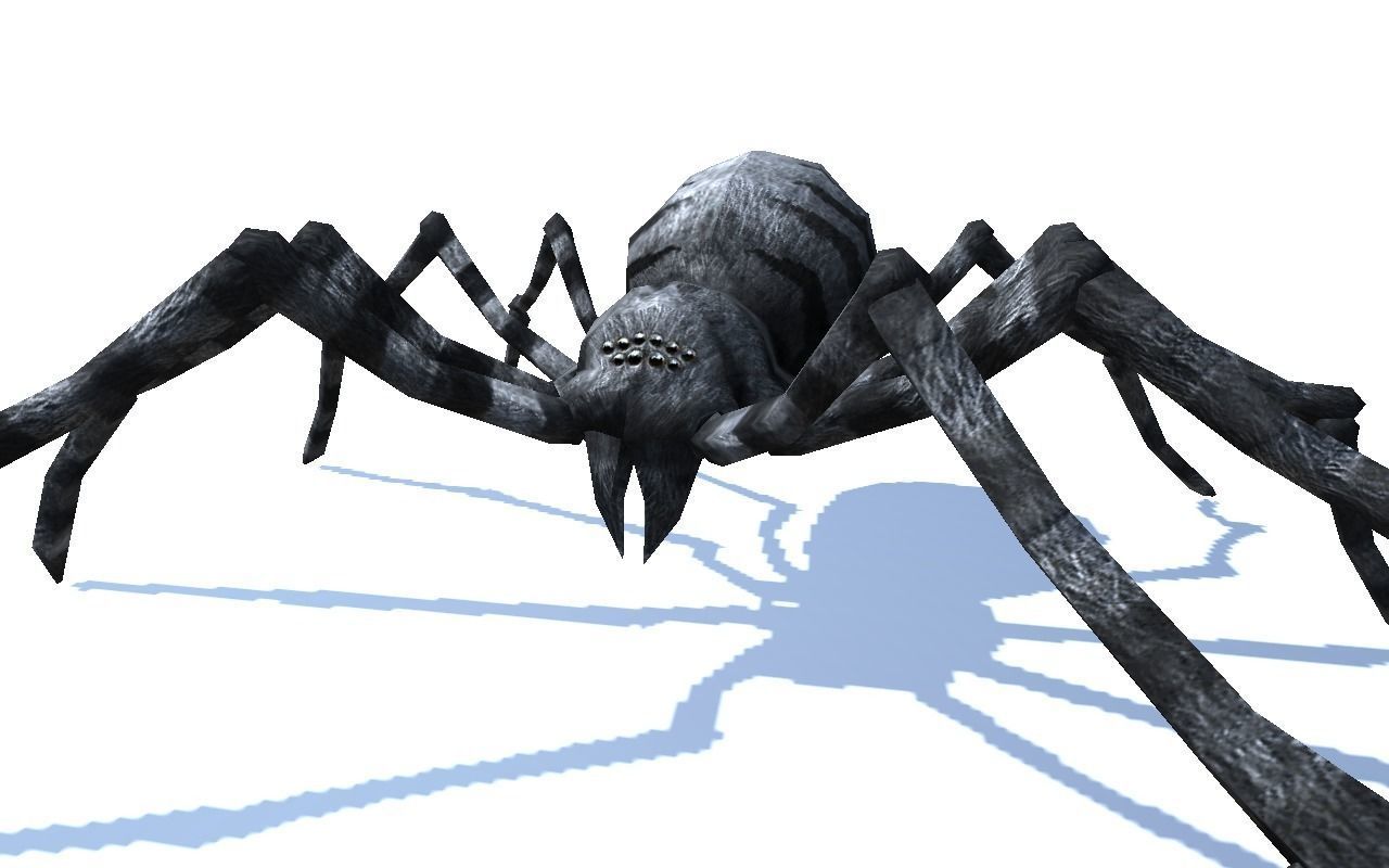 Low-Poly Spider Rigged-Animated Collection Pack 3d model _8