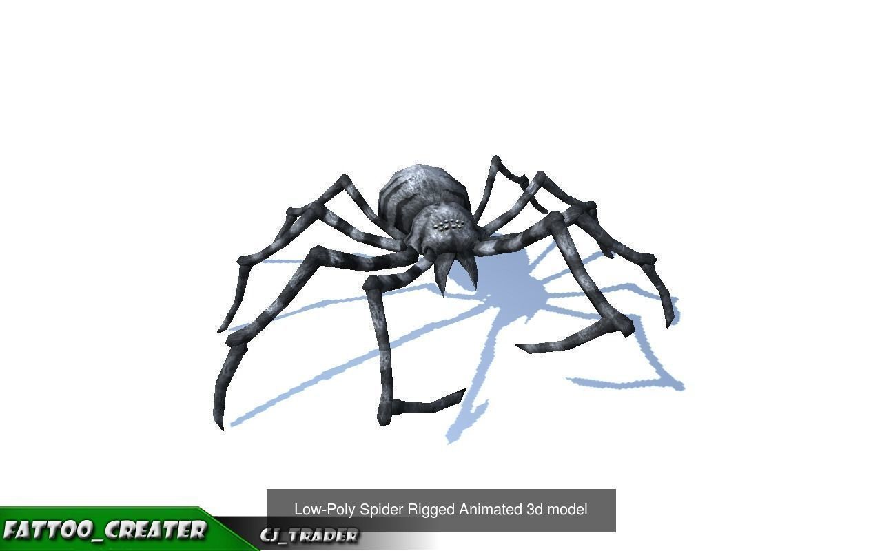 Low-Poly Spider Rigged-Animated Collection Pack 3d model _2