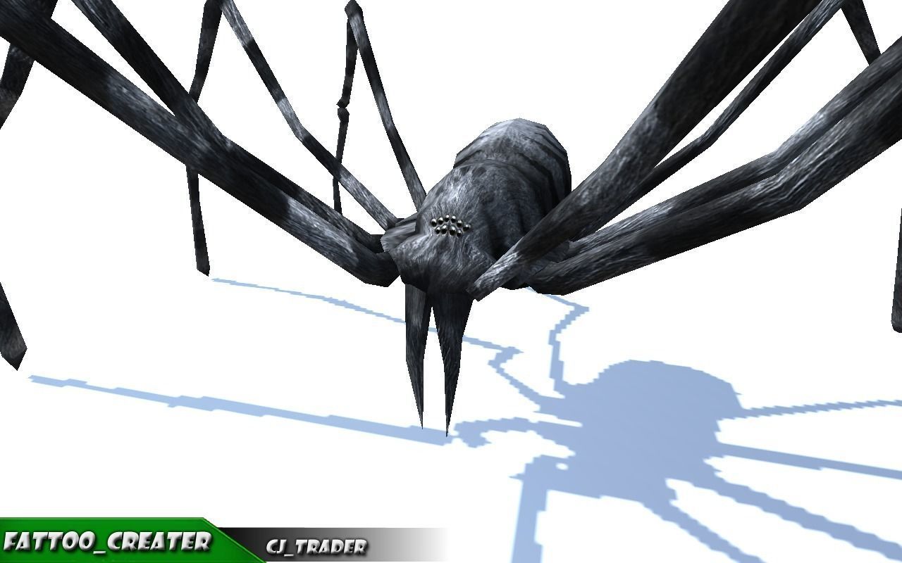 Low-Poly Spider Rigged-Animated Collection Pack 3d model _7