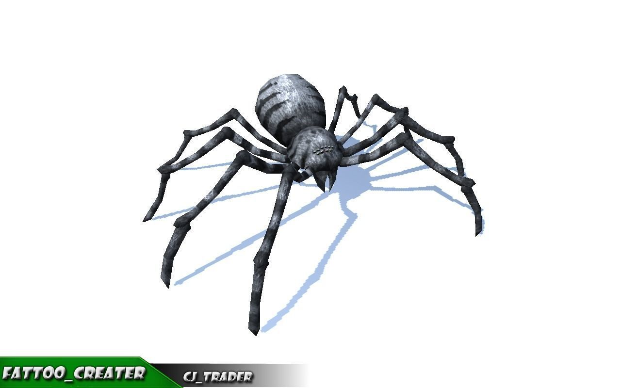Low-Poly Spider Rigged-Animated Collection Pack 3d model _5