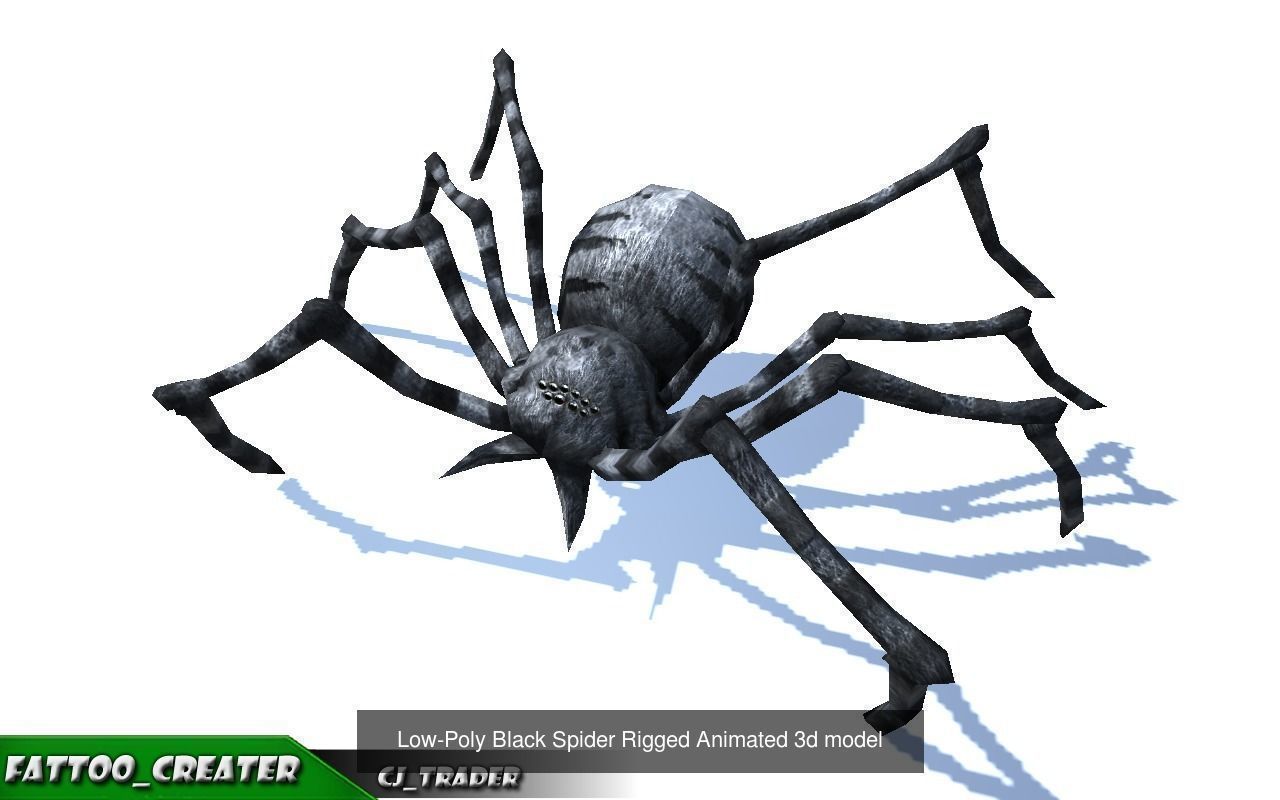 Low-Poly Spider Rigged-Animated Collection Pack 3d model _3