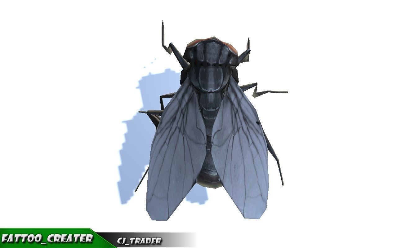 Low-Poly Wild Insects Collection Pack Rigged 3d model _12