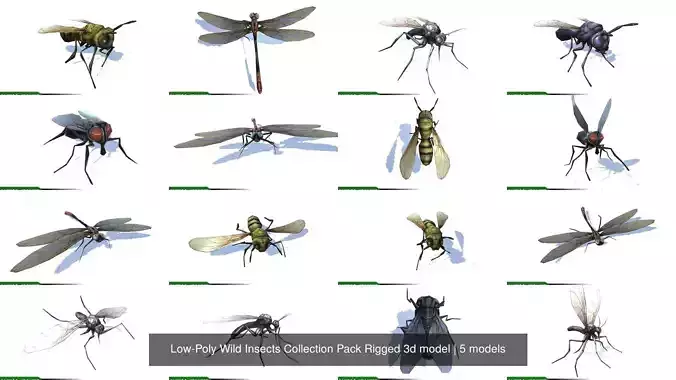 Low-Poly Wild Insects Collection Pack Rigged 3d model