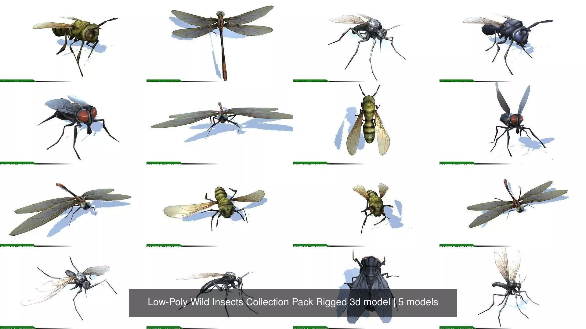 Low-Poly Wild Insects Collection Pack Rigged 3d model _1