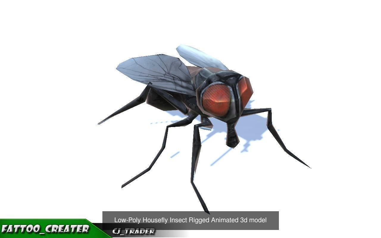 Low-Poly Wild Insects Collection Pack Rigged 3d model _6