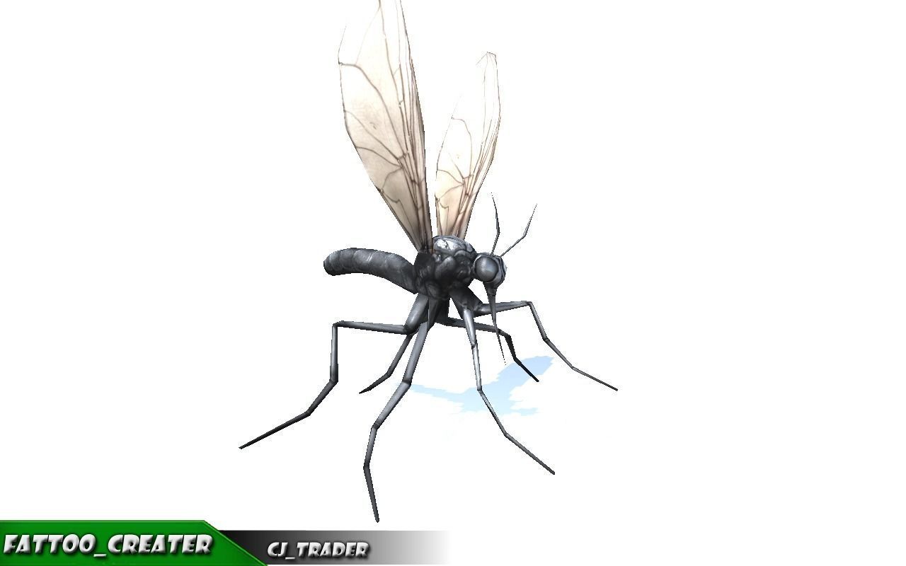 Low-Poly Wild Insects Collection Pack Rigged 3d model _8