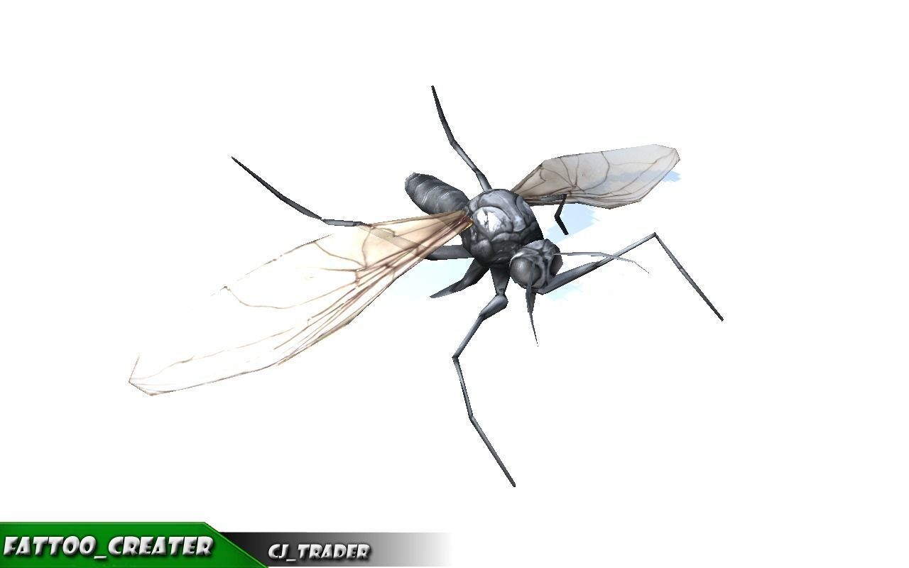 Low-Poly Wild Insects Collection Pack Rigged 3d model _15