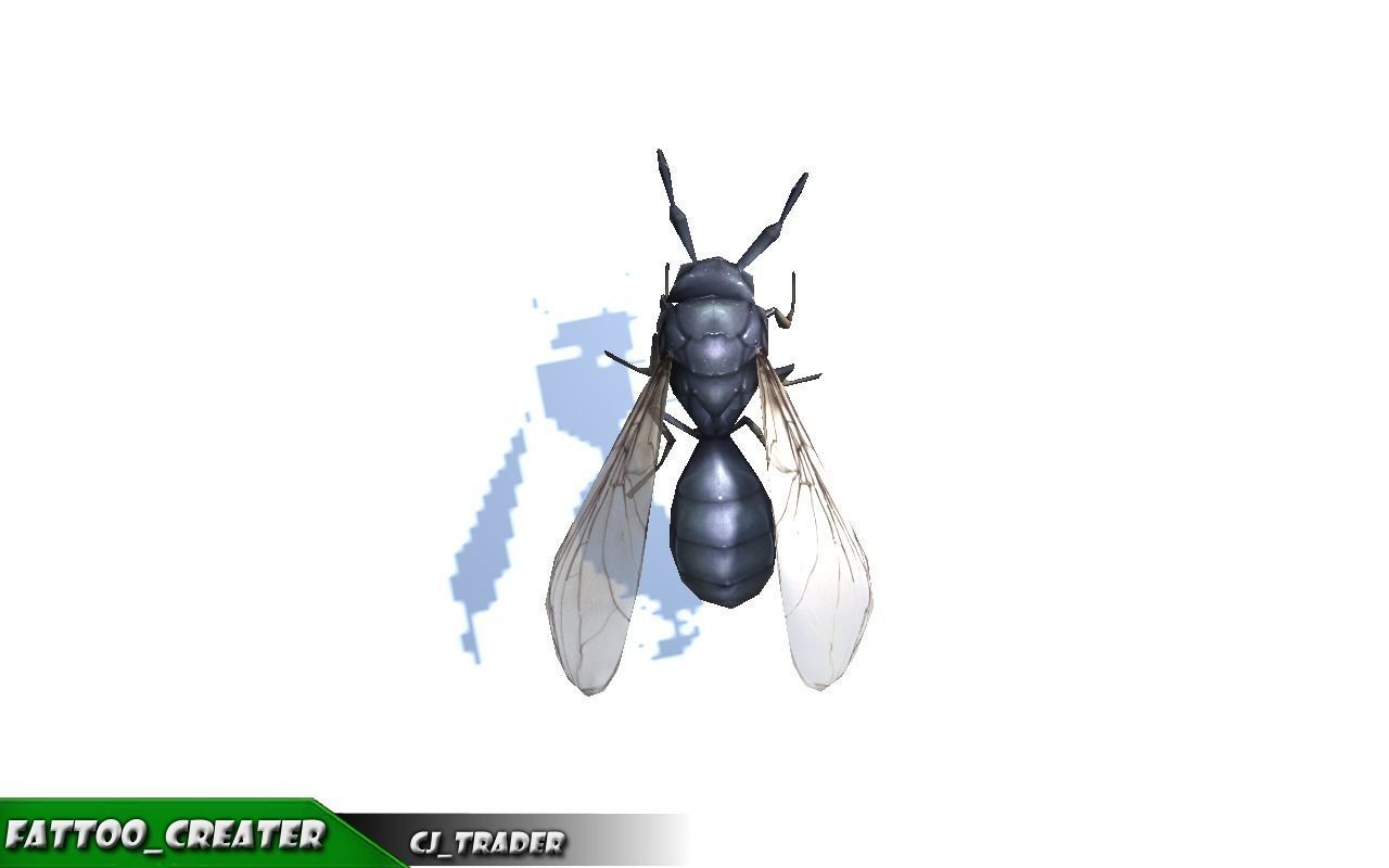 Low-Poly Wild Insects Collection Pack Rigged 3d model _13