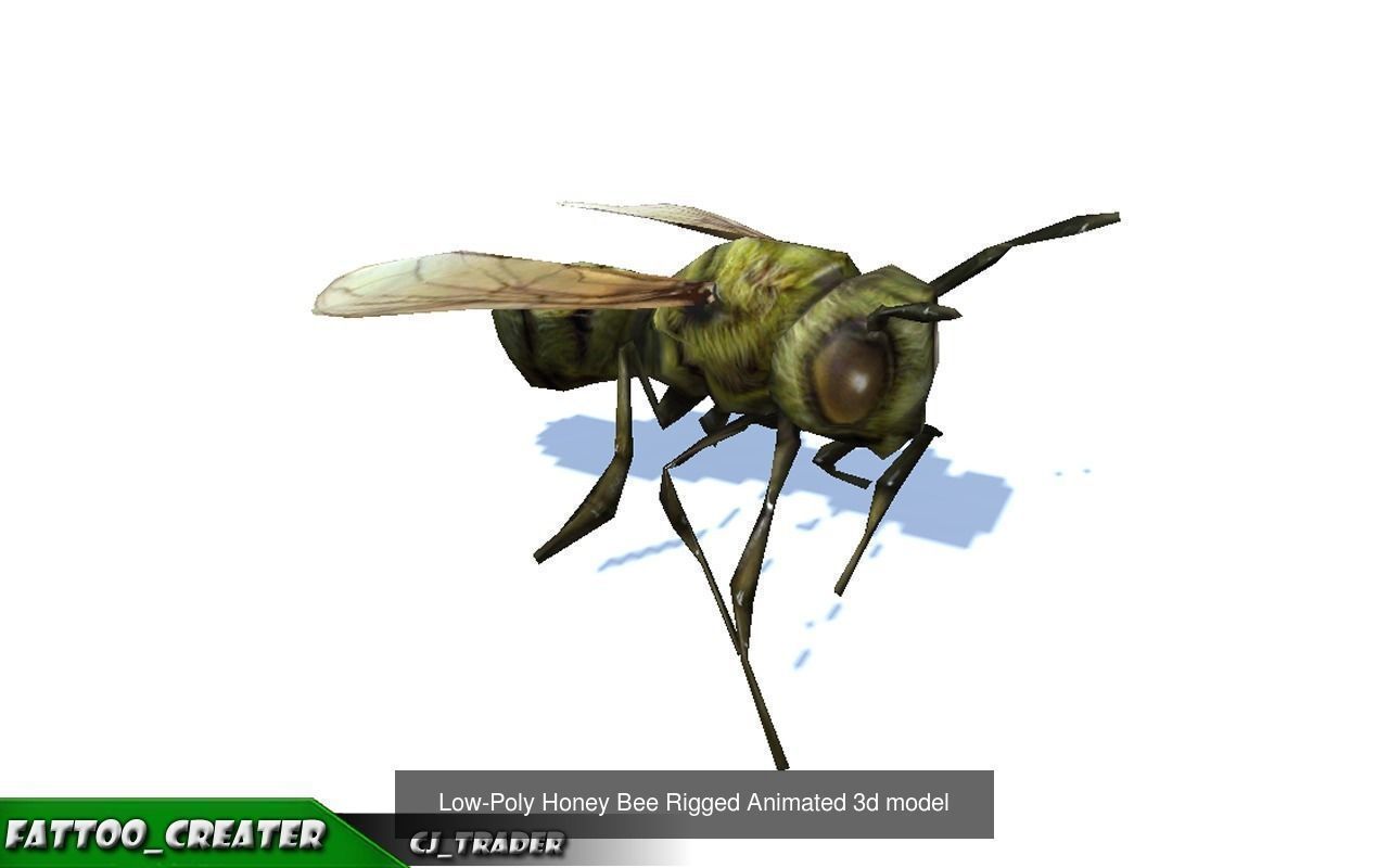 Low-Poly Wild Insects Collection Pack Rigged 3d model _2