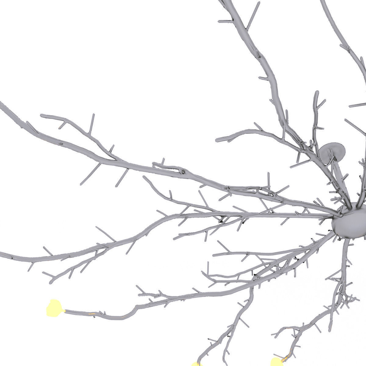 Pieter Adam Twiggy 872 chandelier 3D model_2