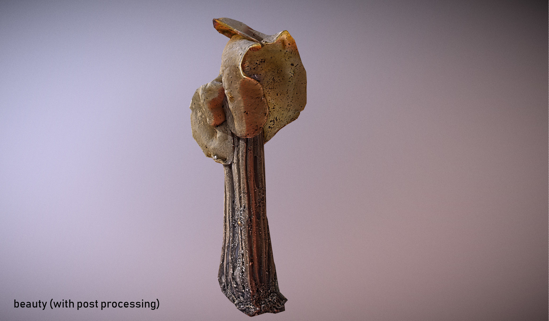 Helvella crispa - white saddle mushroom lowpoly 3D model Low-poly 3D model_8