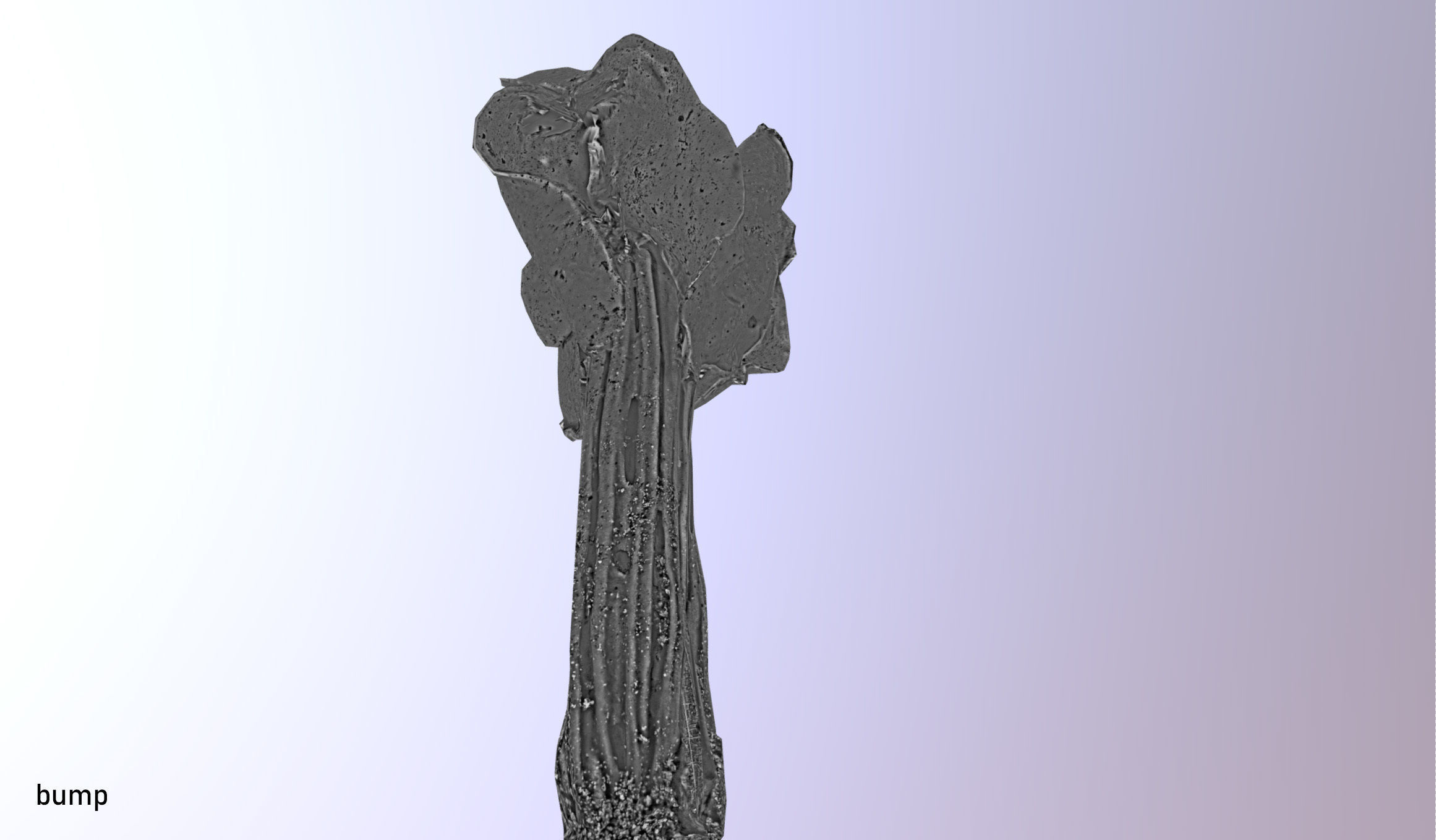 Helvella crispa - white saddle mushroom lowpoly 3D model Low-poly 3D model_24