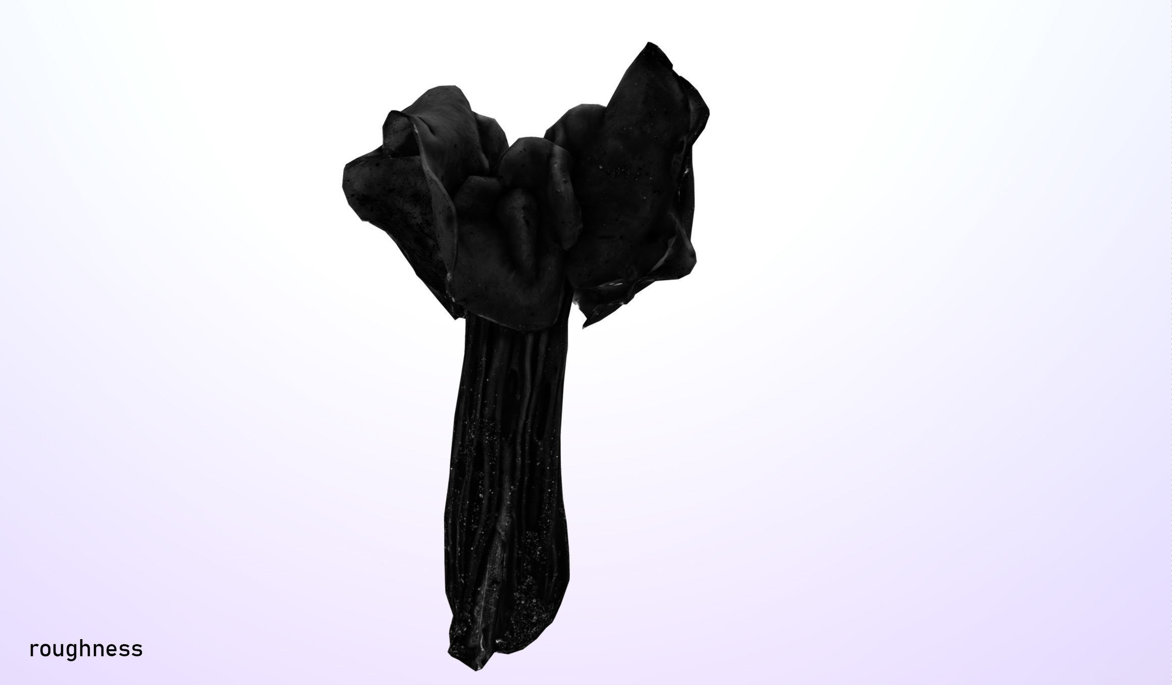 Helvella crispa - white saddle mushroom lowpoly 3D model Low-poly 3D model_35