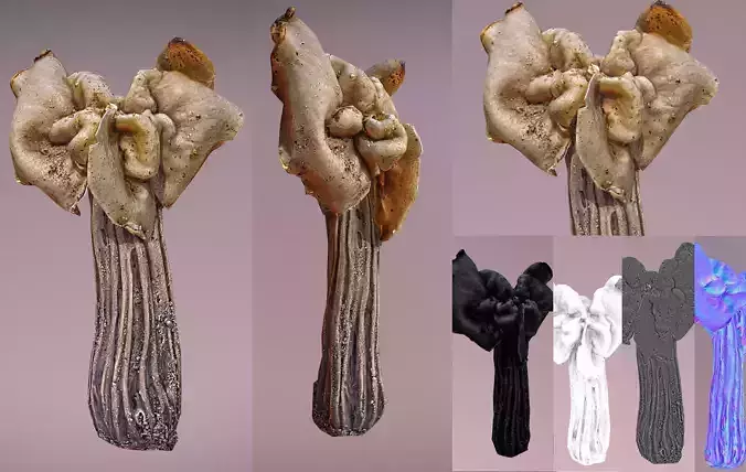 Helvella crispa - white saddle mushroom lowpoly 3D model Low-poly 3D model