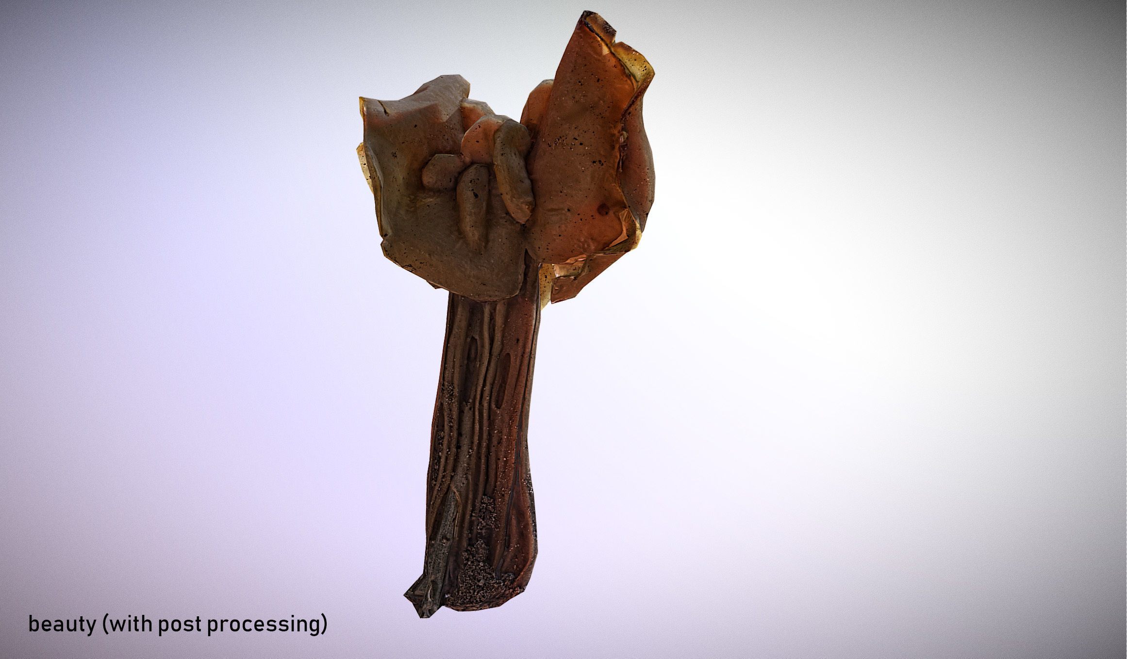 Helvella crispa - white saddle mushroom lowpoly 3D model Low-poly 3D model_6