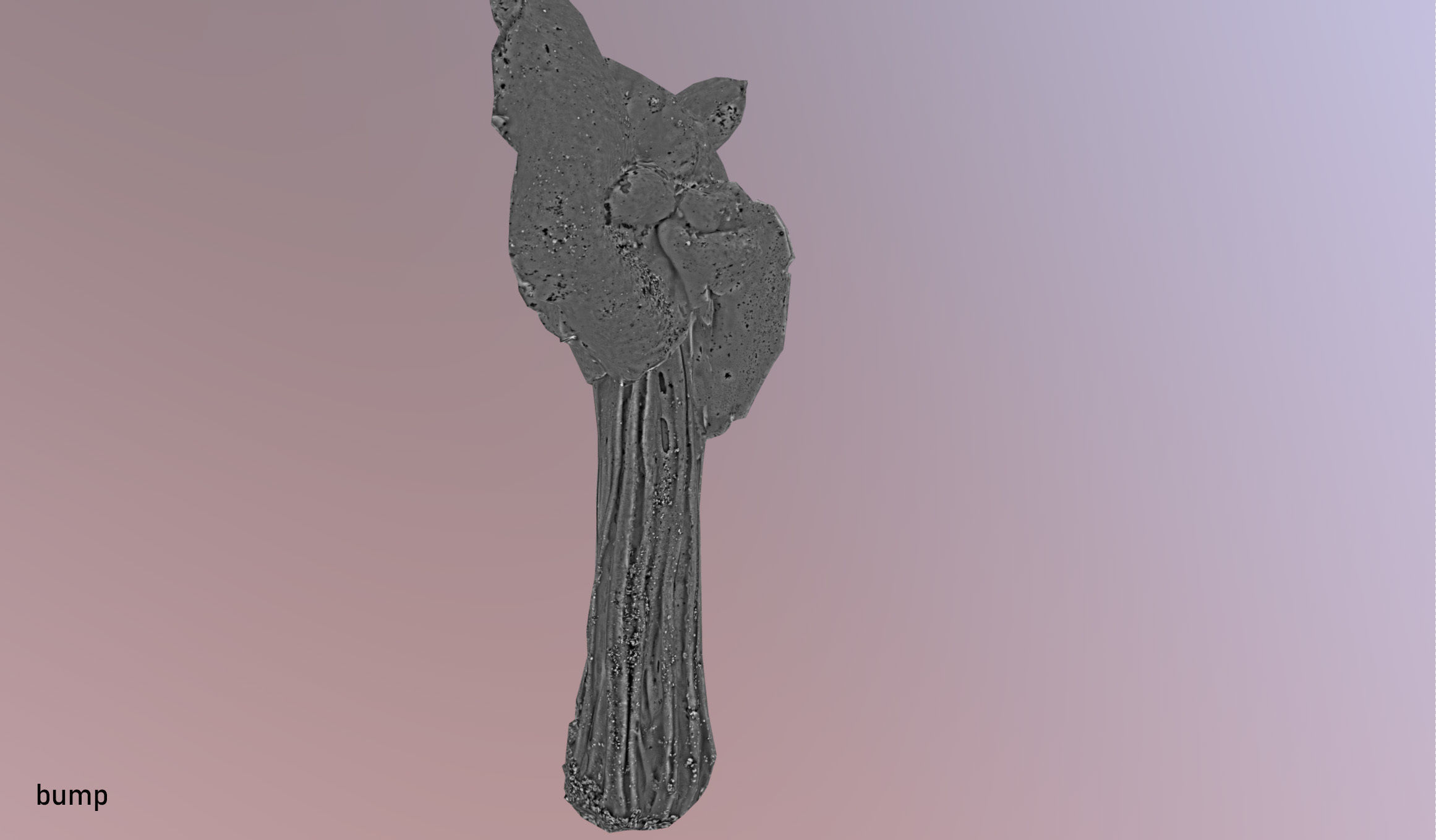 Helvella crispa - white saddle mushroom lowpoly 3D model Low-poly 3D model_27